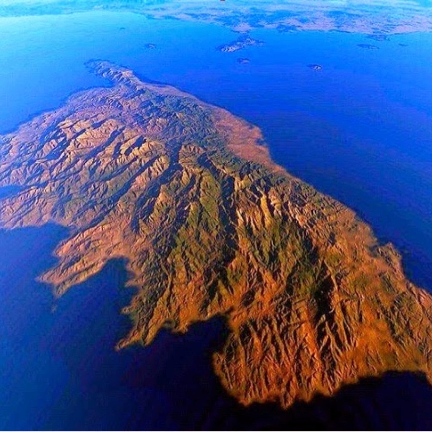 Musica di mina