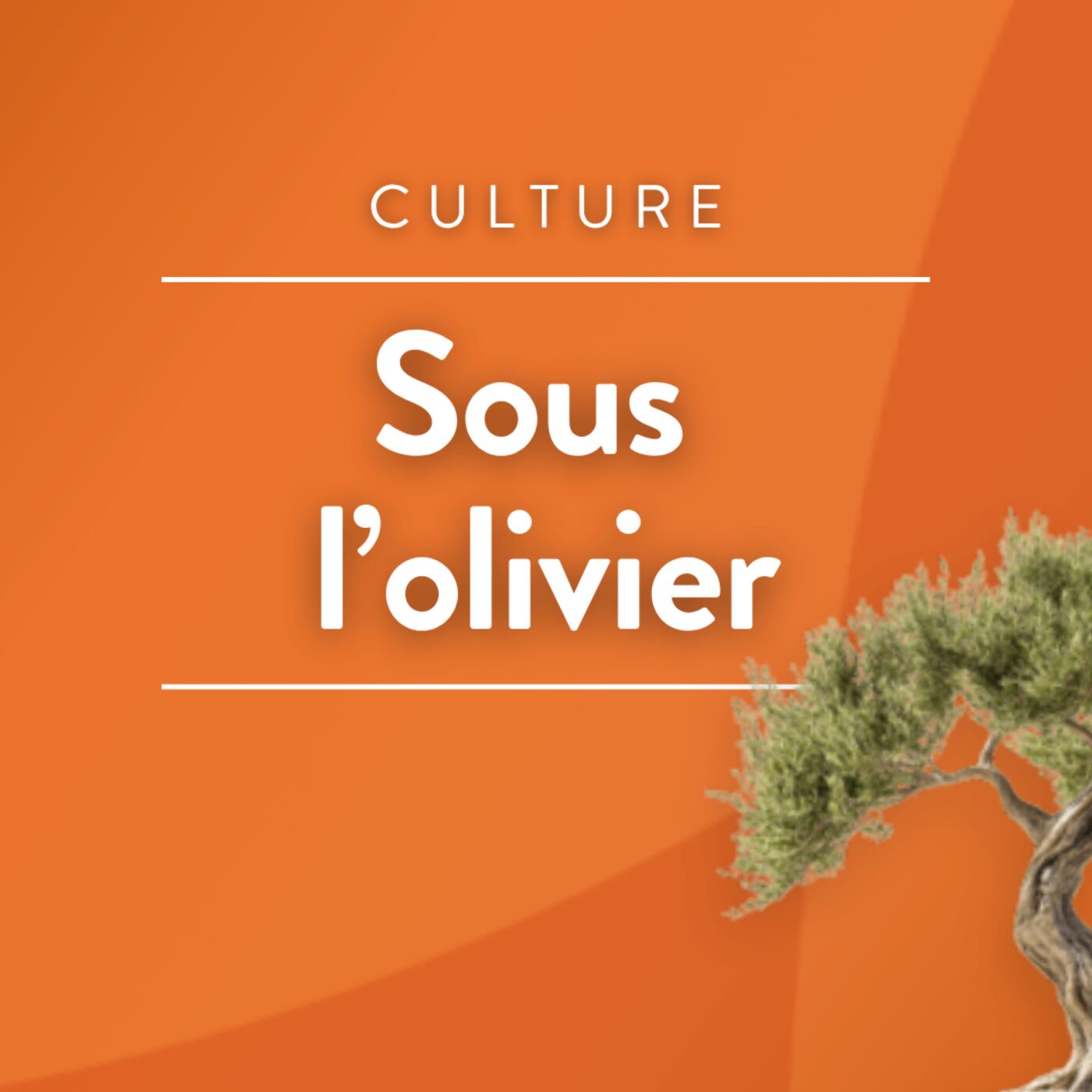 Sous l\'olivier