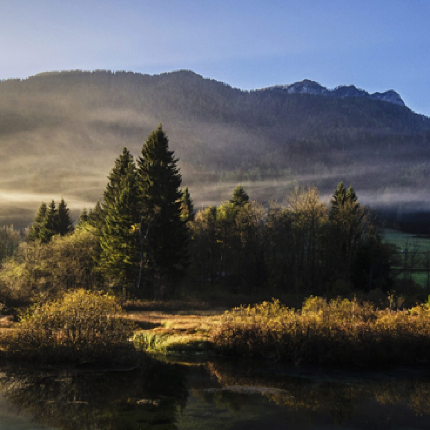 Prière du matin