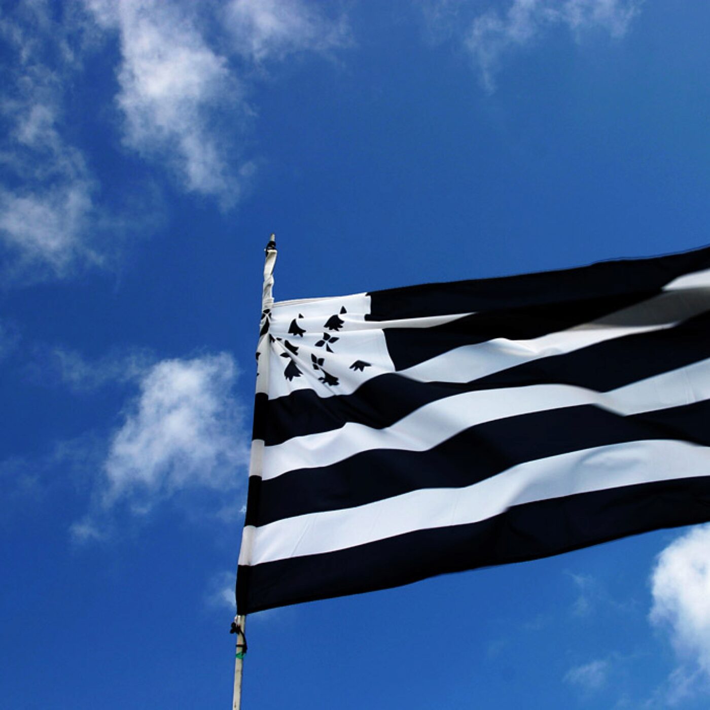 Histoire du breton des origines au XVIIIe siècle avec F. Favereau (rediff)