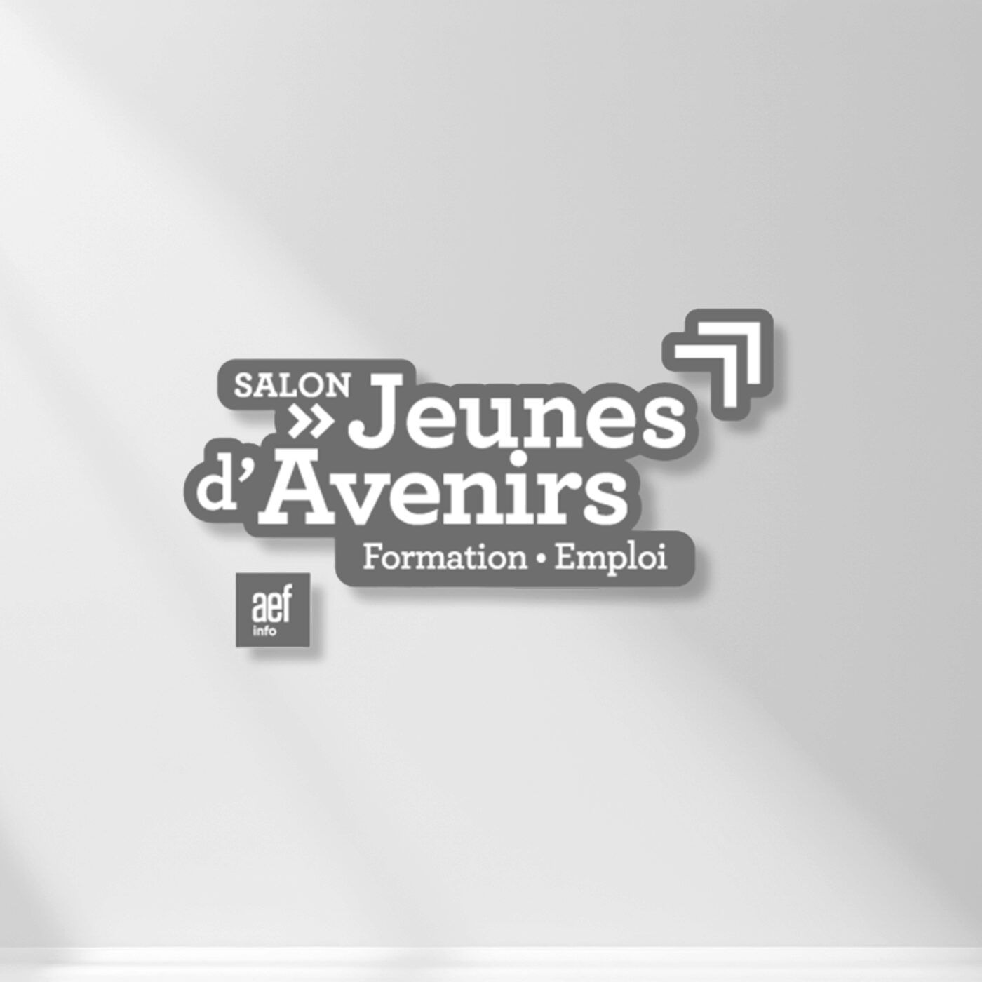 Edition spéciale "Salon Jeunes d'Avenirs" : Pourquoi faut-il avoir un bon CV  episode artwork