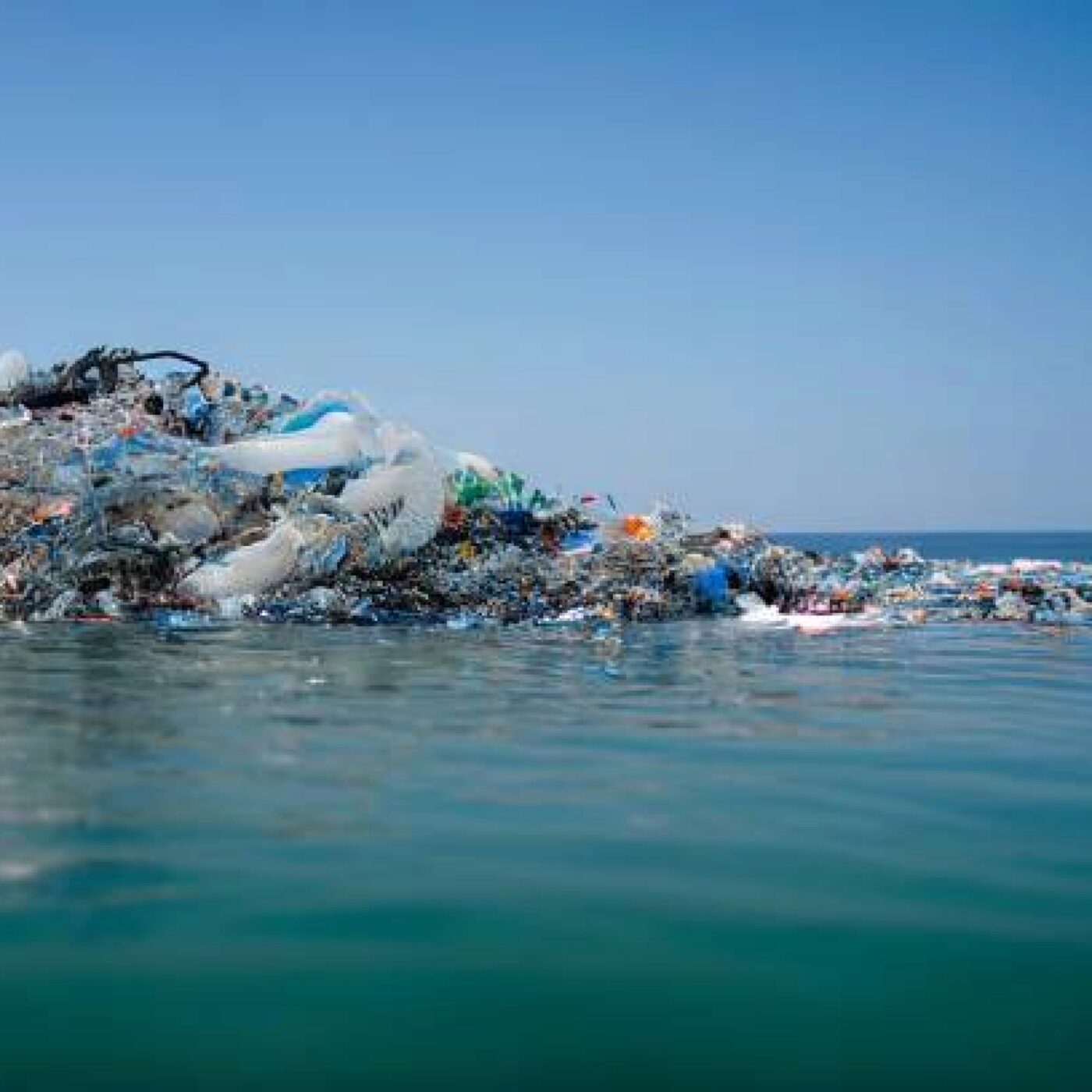 Regards sur l\'actualité