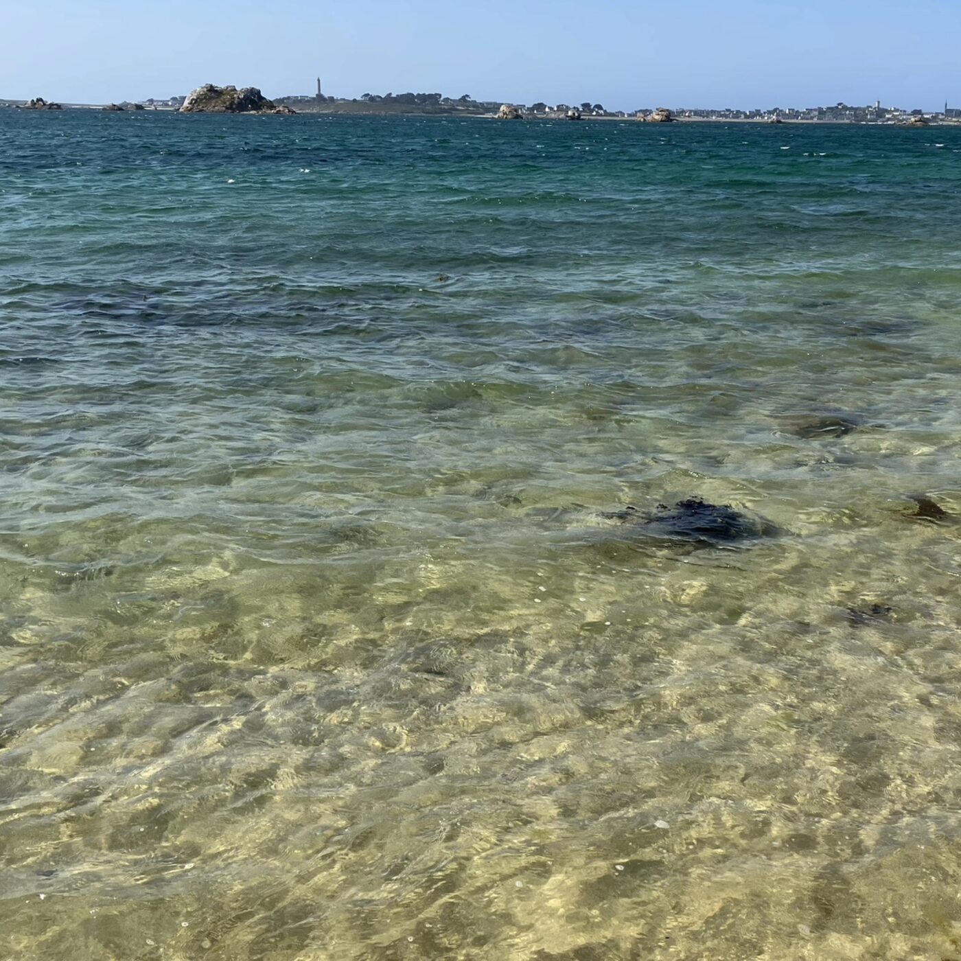 Christophe Le Visage d'Eau et Rivières de Bretagne :"on espère que notre classement mette le zoom sur les plages qui ne devraient pas être polluées" episode artwork