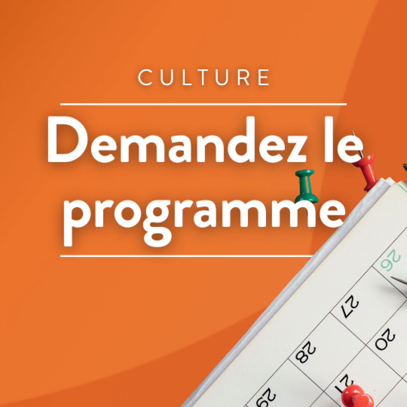 Demandez le programme