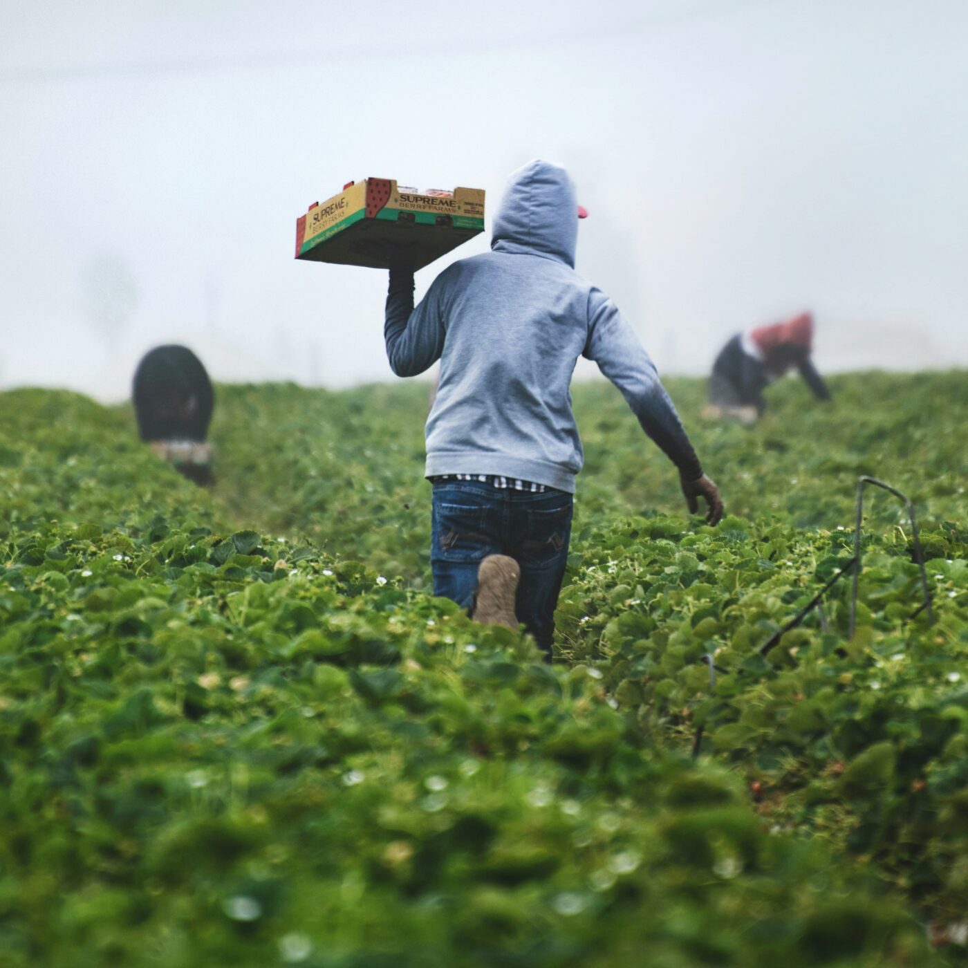Le journal régional de 18h30