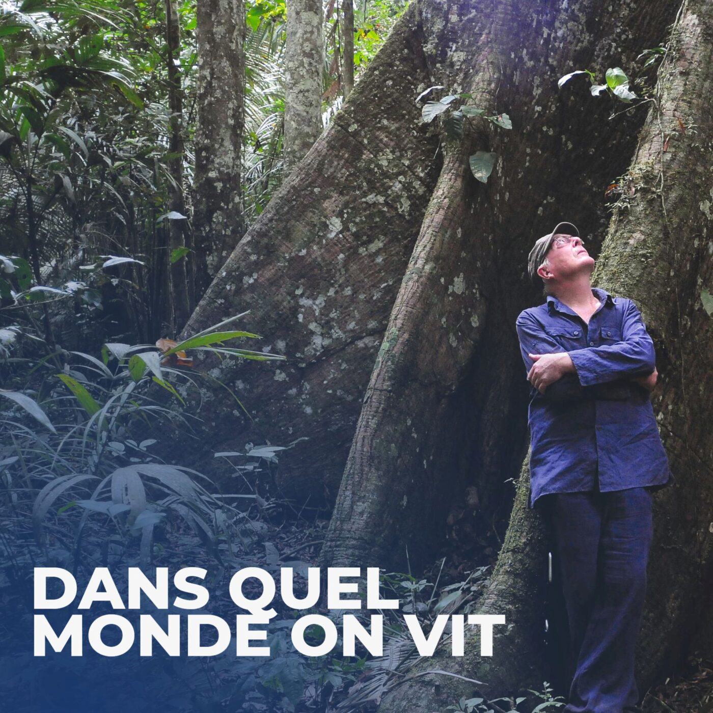 Hommage au botaniste Francis Hallé : « Une vie humaine est tout à fait insuffisante en durée pour admirer suffisamment les forêts »