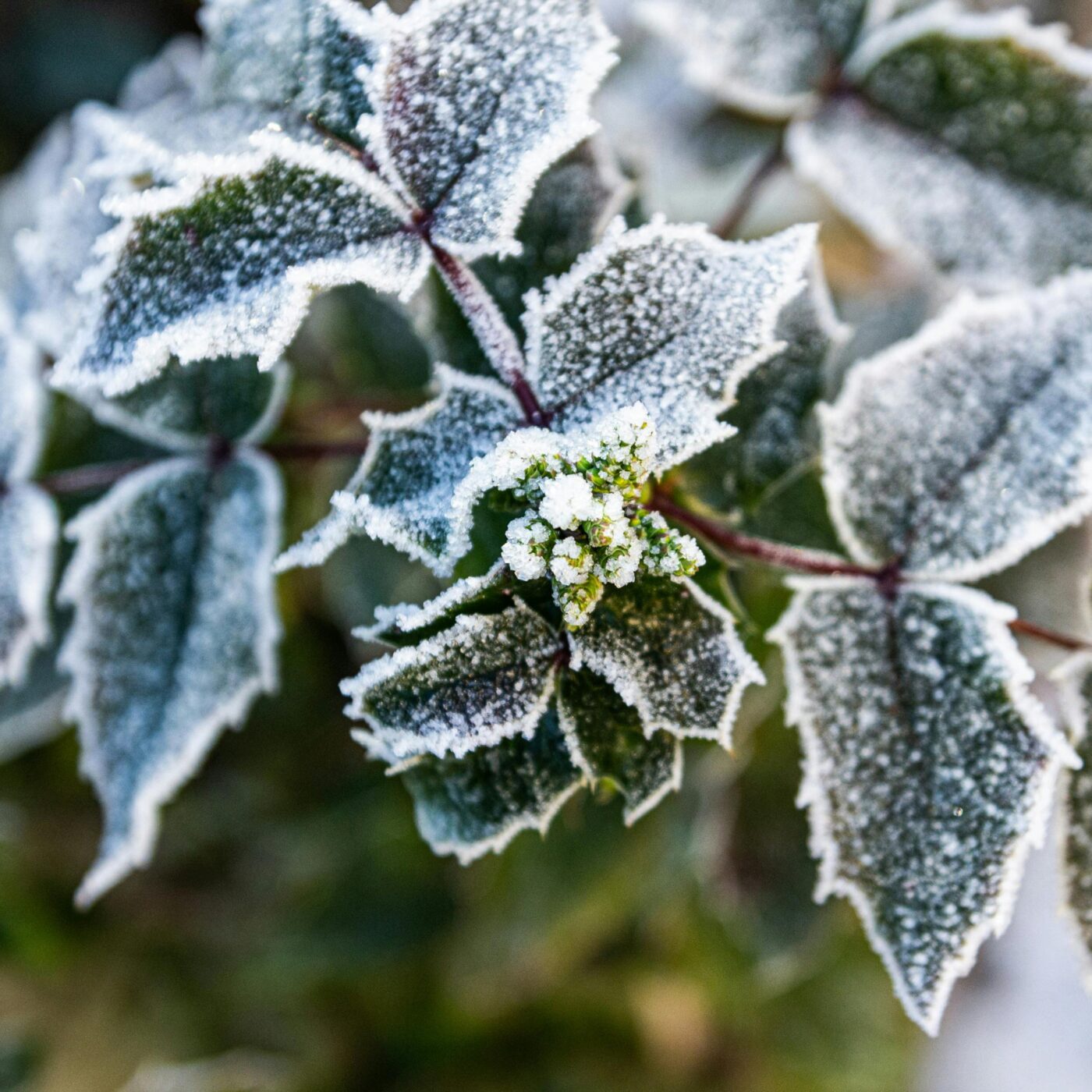 Prenez-en de la graine : des conseils jardinage écolos