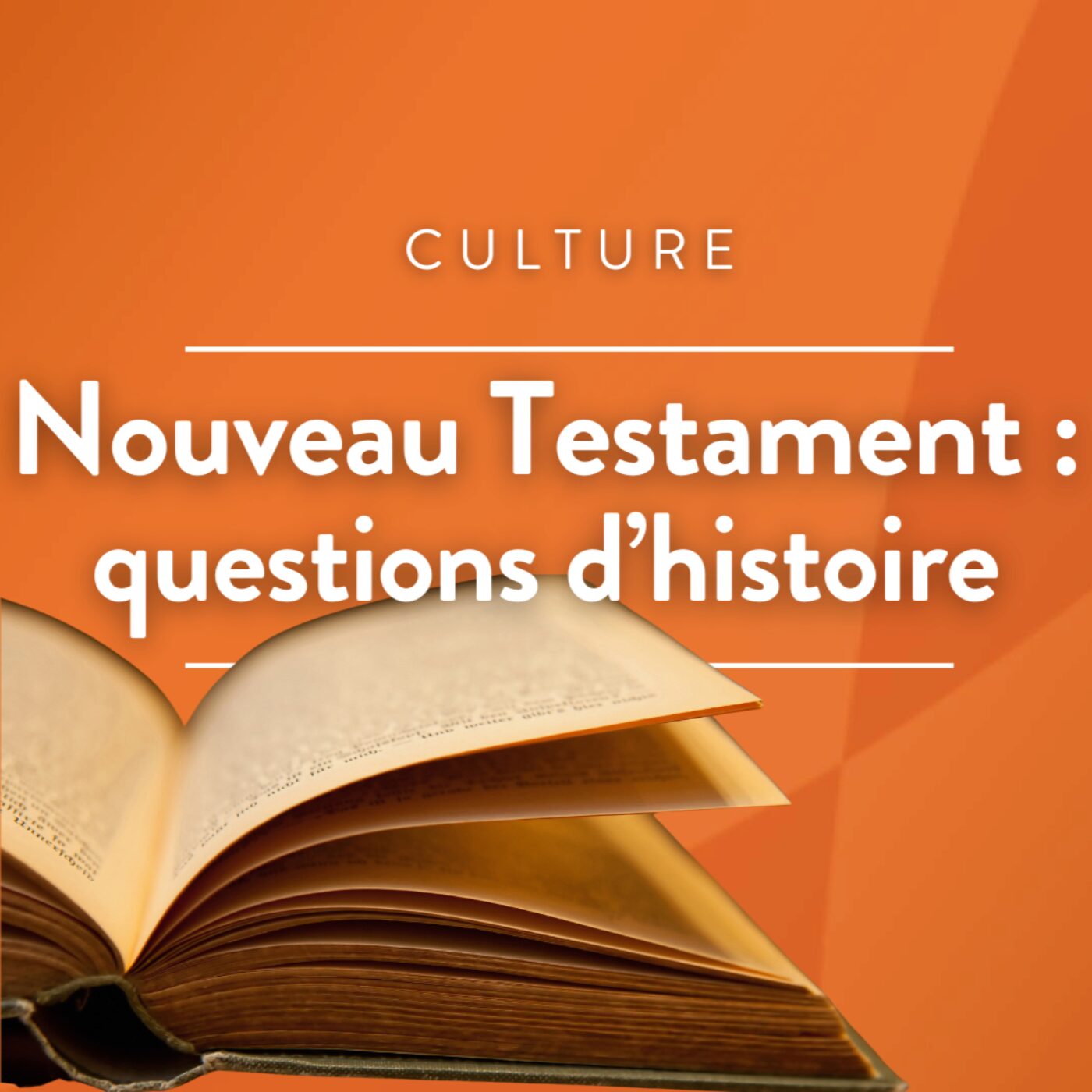 Nouveau Testament : questions d\'histoire