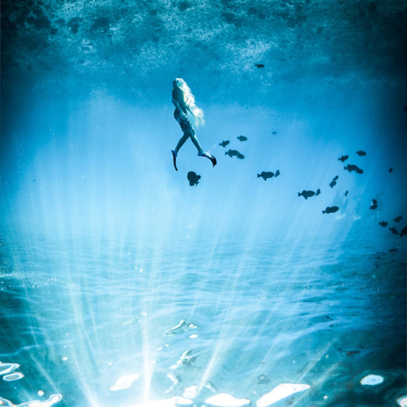 Nos femmes sous la mer de Julia Armfield episode artwork