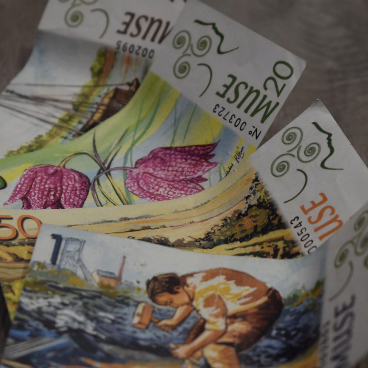 La Muse : une monnaie locale, écologique et solidaire episode artwork