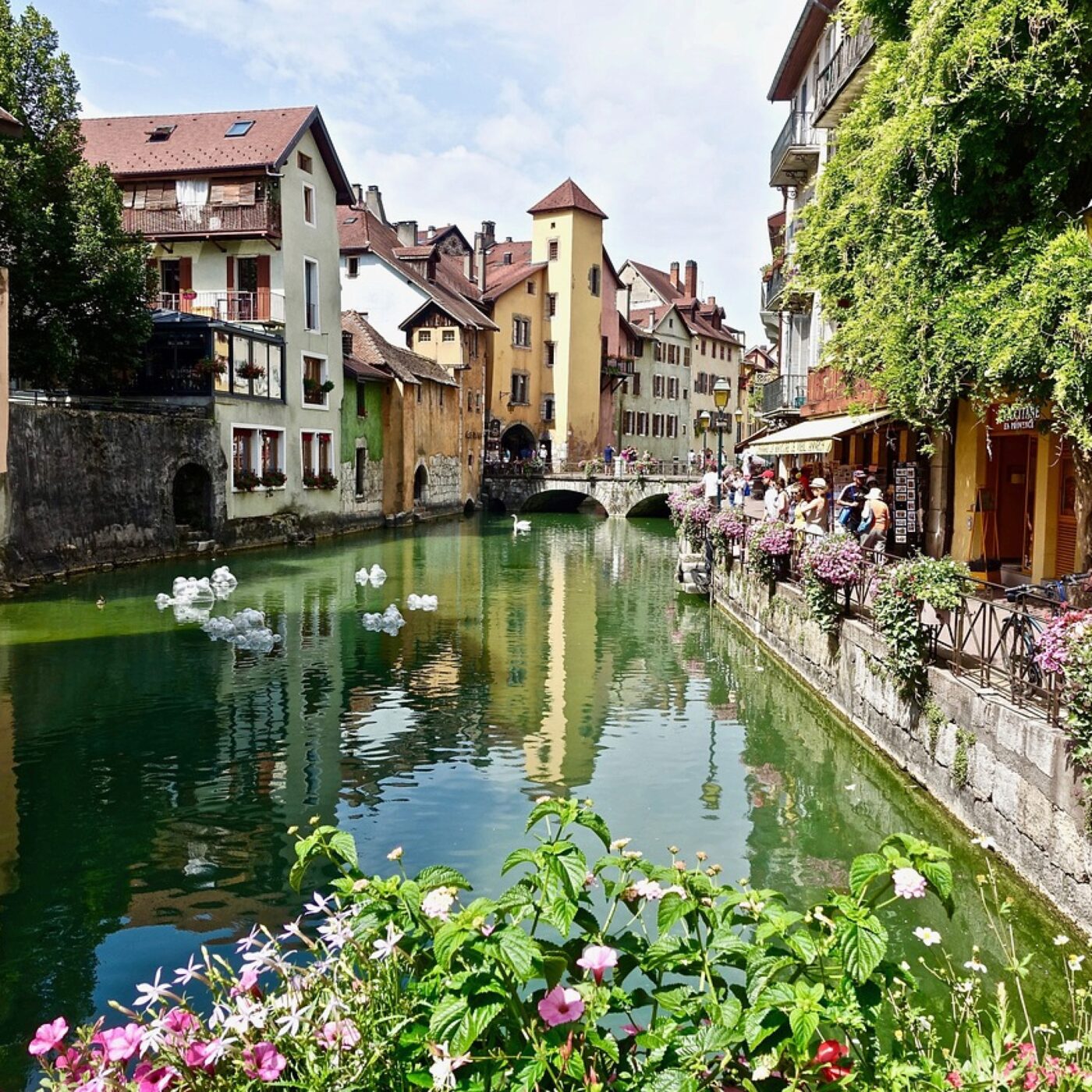 Ceux qui sèment, la ferme urbaine d'Annecy