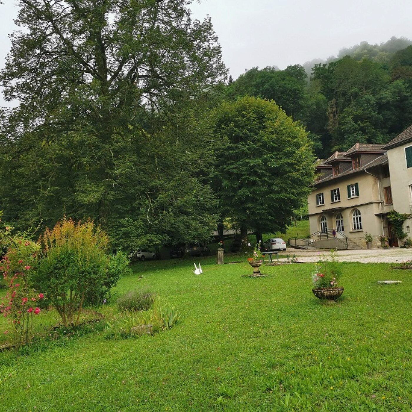 Vitamine C (Pays de l\'Ain)