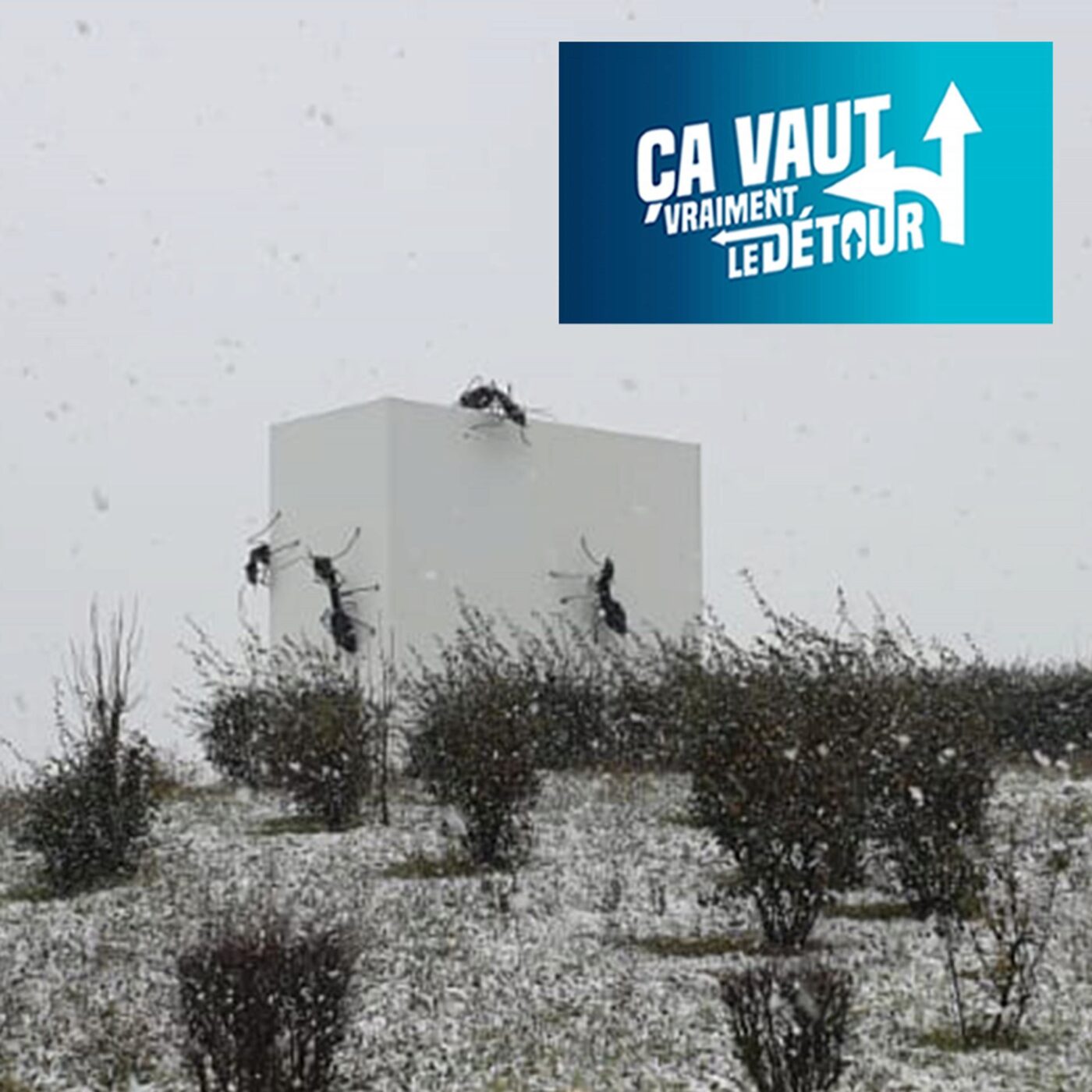 Frasnes-lez-Anvaing vaut vraiment le Détour (4) : Goût du tilleul, pâtisserie et Eloïse Clément, championne de One wall