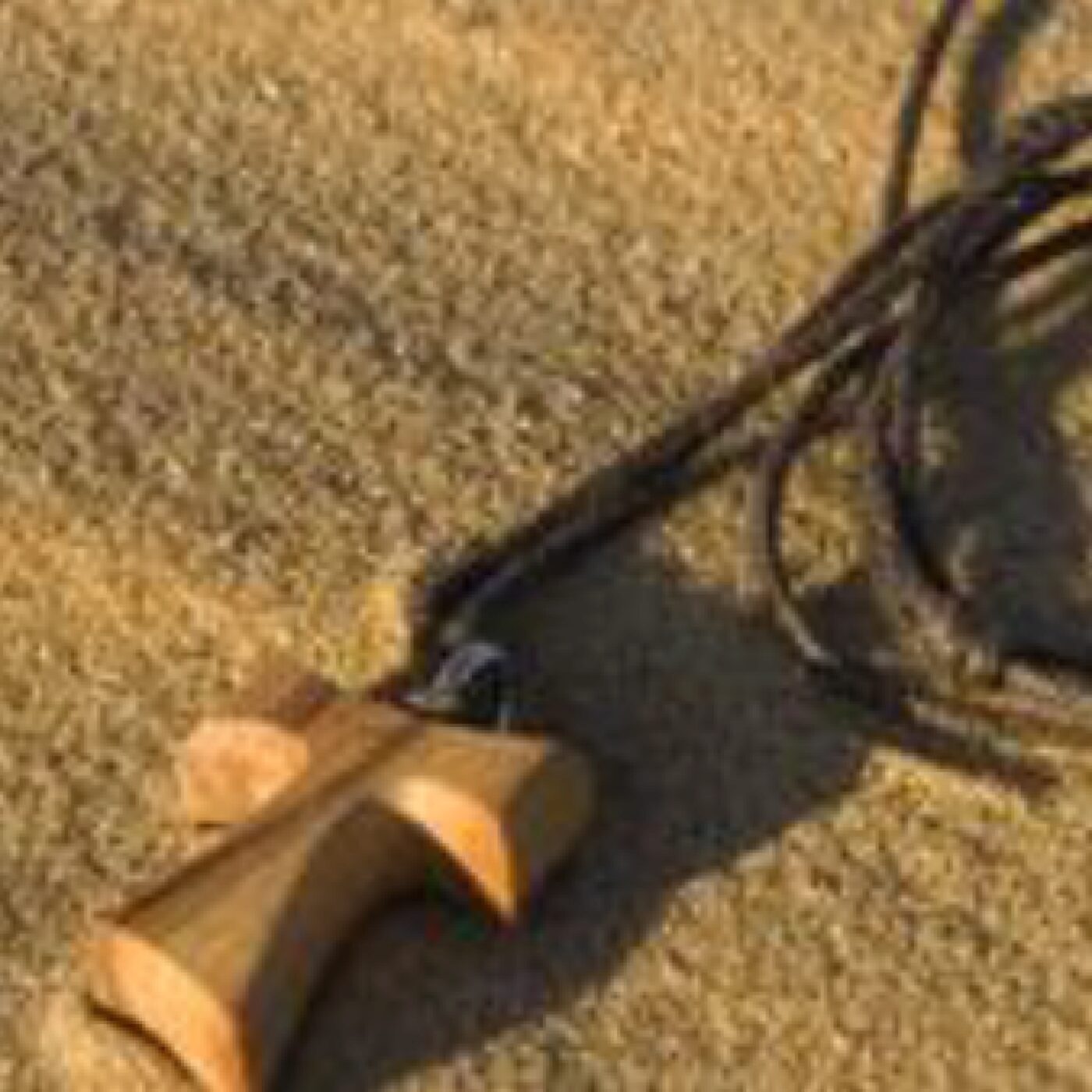 Épiscorama · RCF Cœur de Champagne