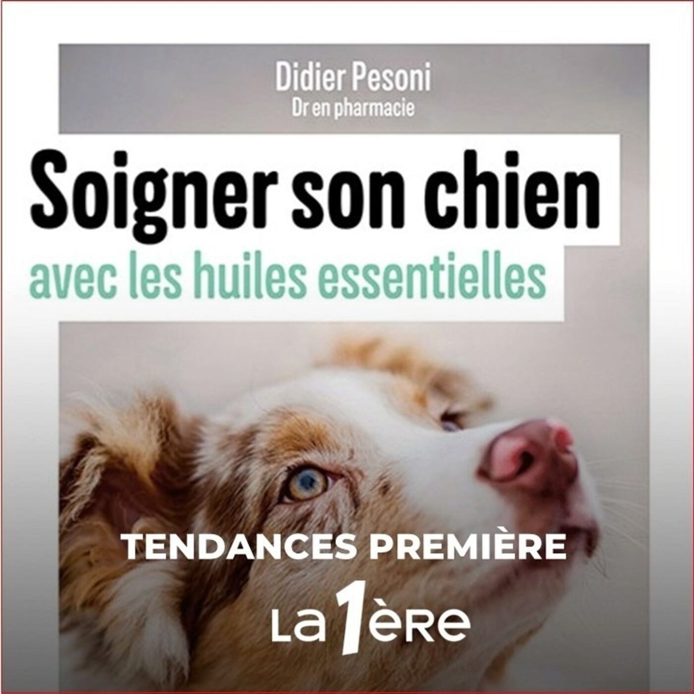 Soigner son chien avec les huiles essentielles (Ed. Ulmer)