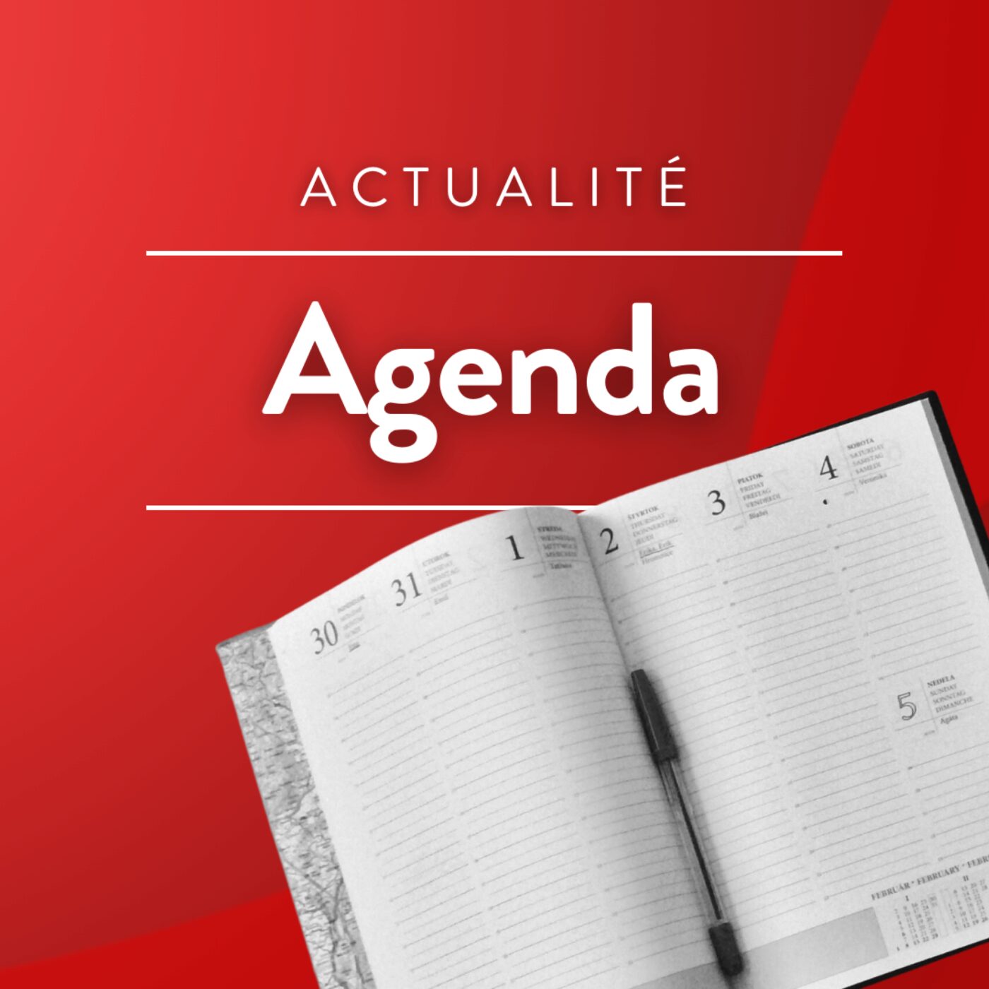 Agenda du jeudi