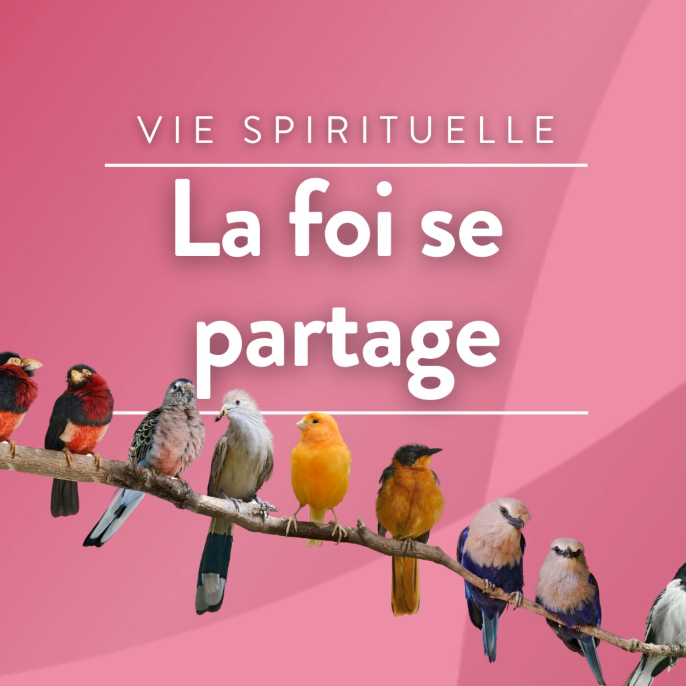 La foi se partage