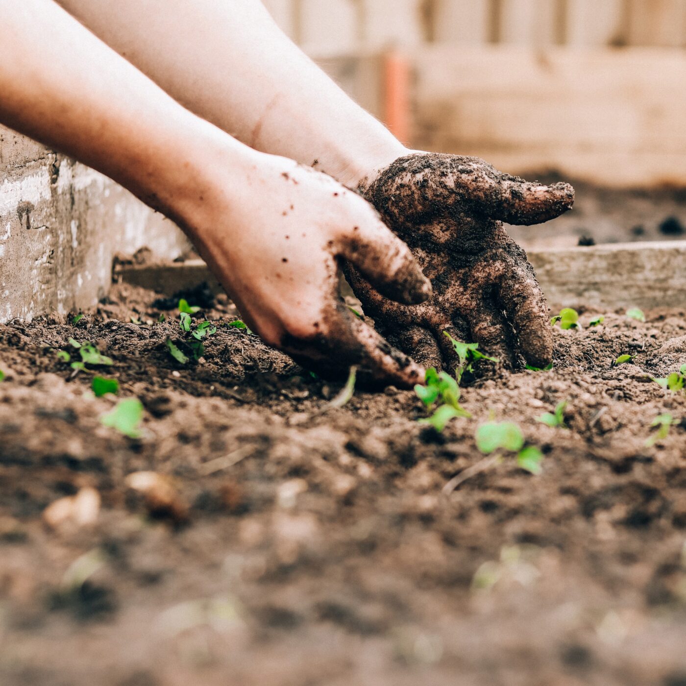 Le Jardin de RCF · RCF Lyon