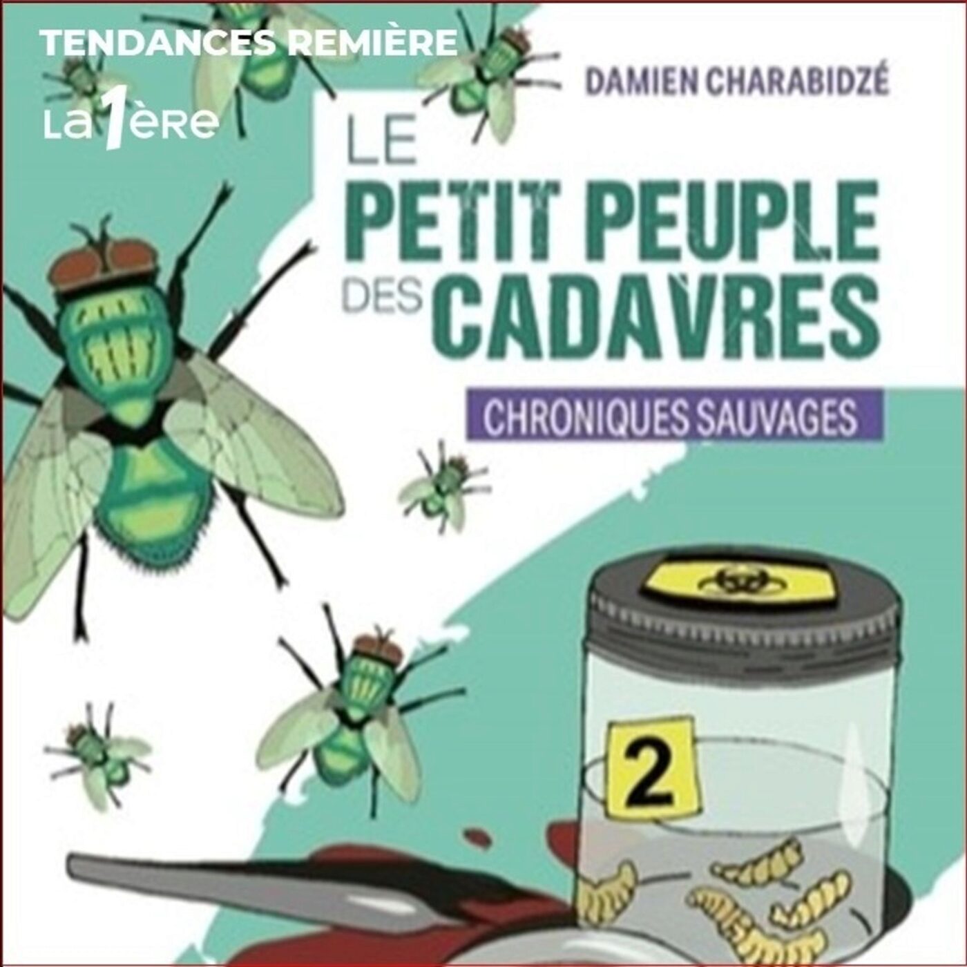 Asticots drogués, coléoptères nécrophiles ou moucherons spécialistes des cercueils ! Bienvenue dans le monde de l'entomologie médico-légale !