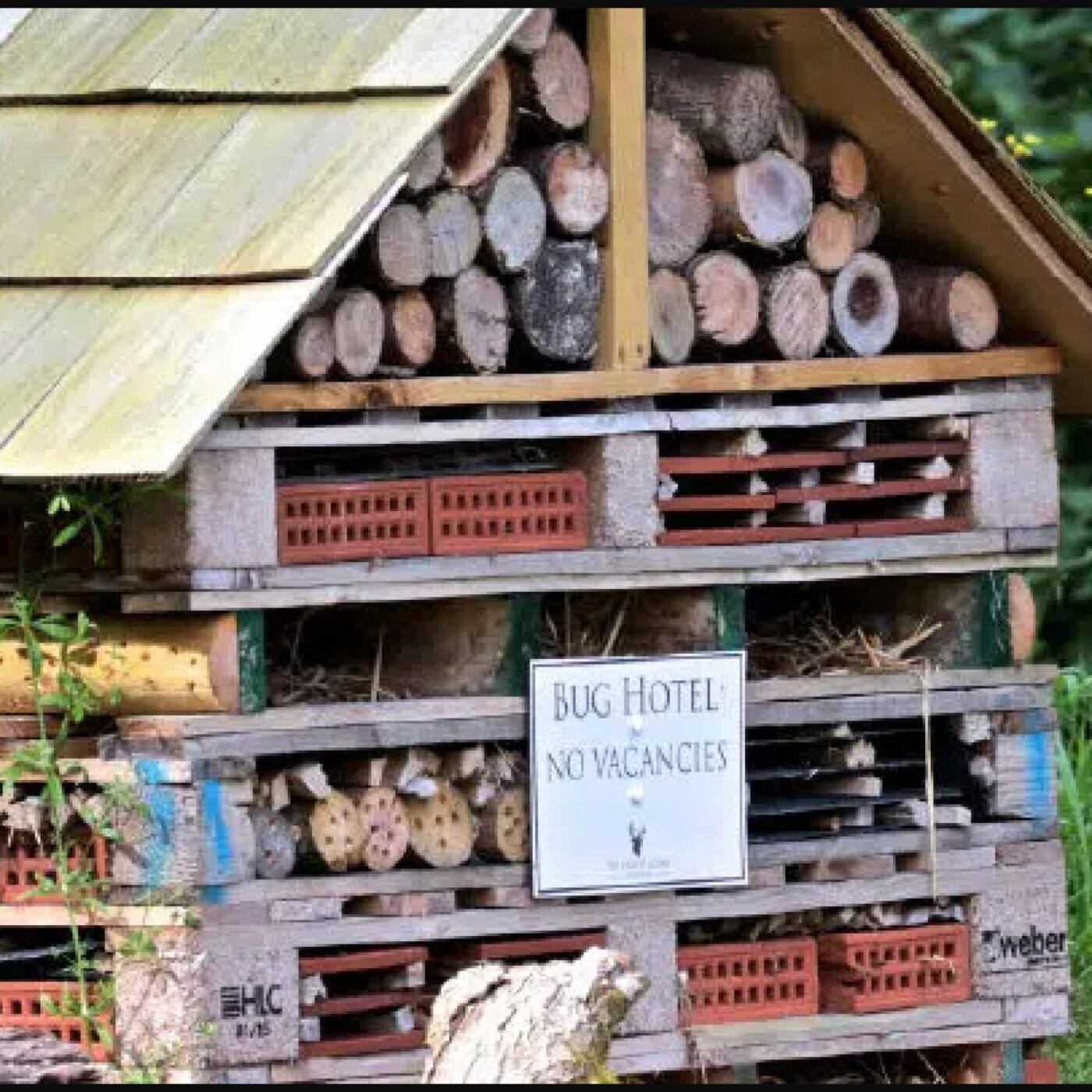 Jardiner avec les enfants, avec Terre Vivante