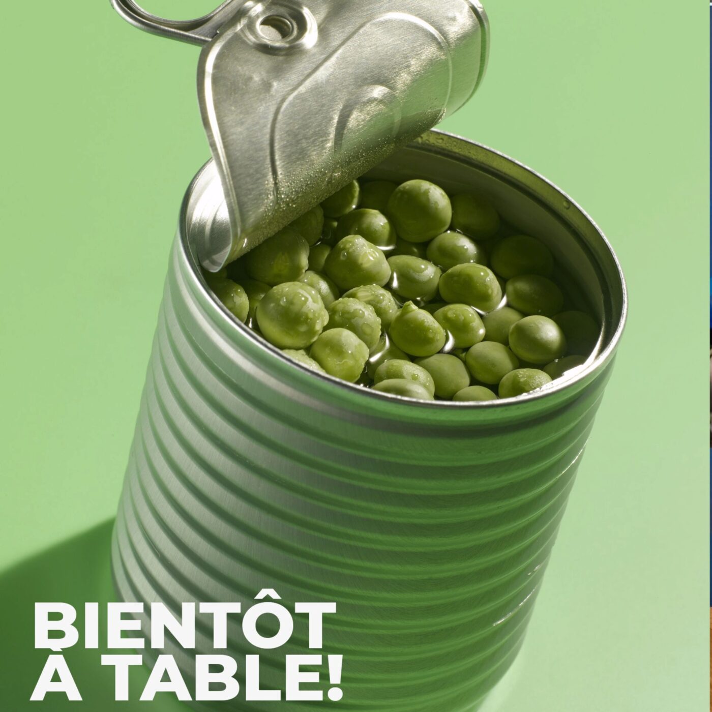 Boites de conserves, on ouvre? episode artwork