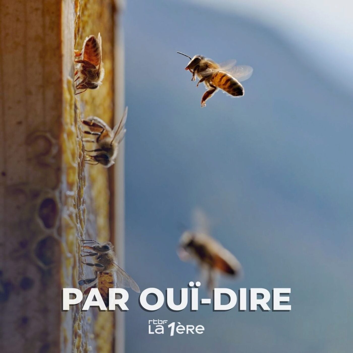 'Une vie partagée' de Myriam Lefebvre et Yves Robic