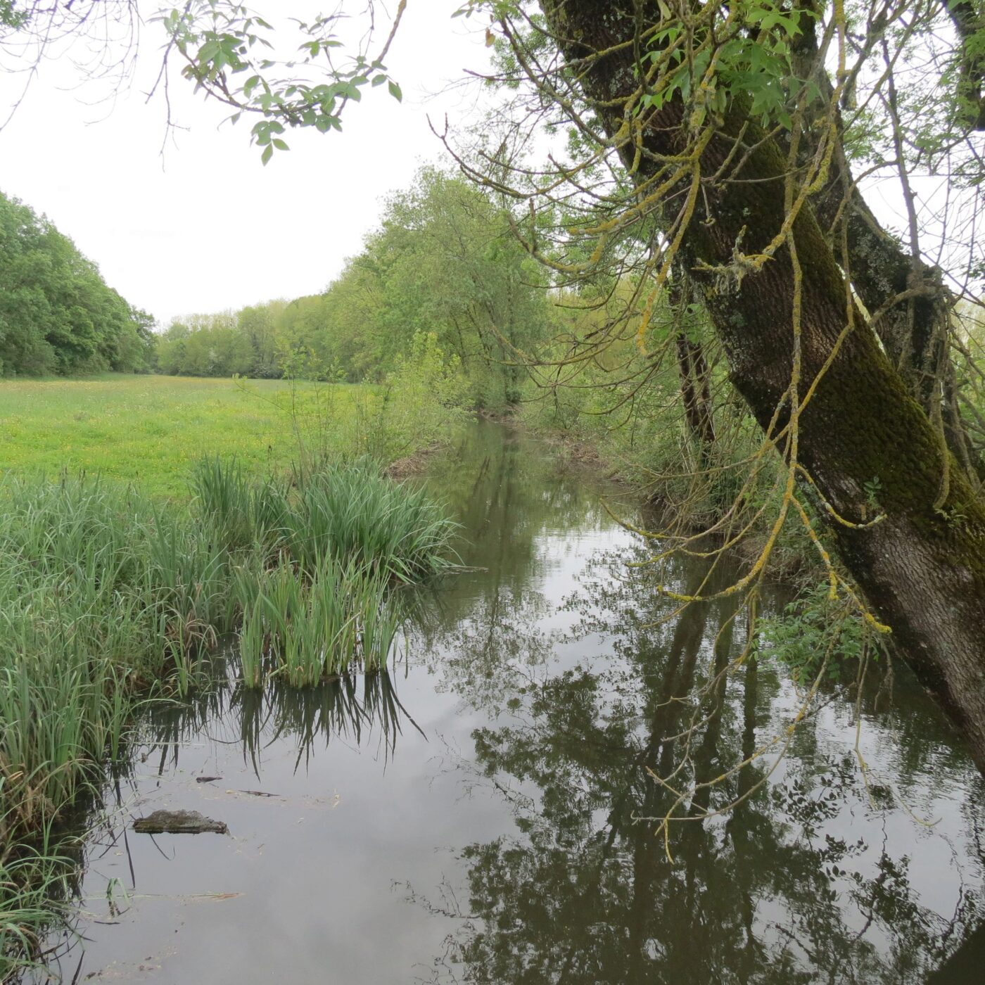 L\'invité de RCF Anjou