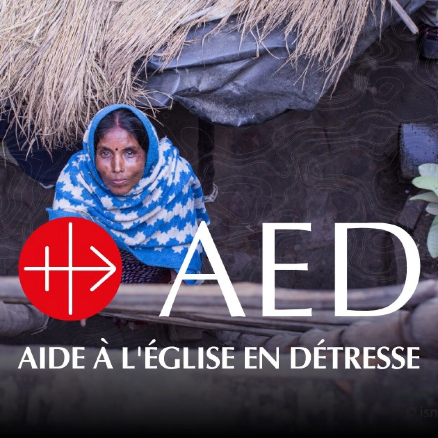 La chronique de l\'Aide à l\'Église en détresse (AED)