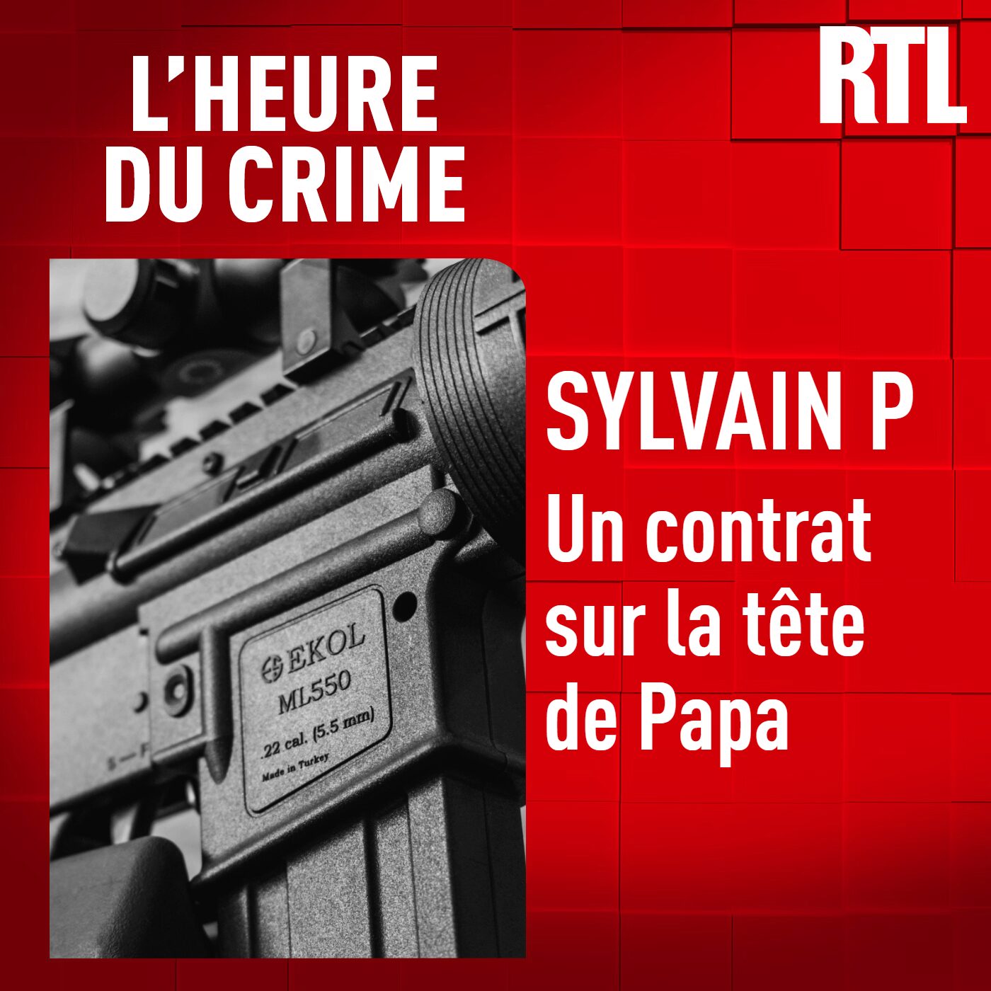 L'INTÉGRALE - Sylvain P : un contrat sur la tête de papa episode artwork