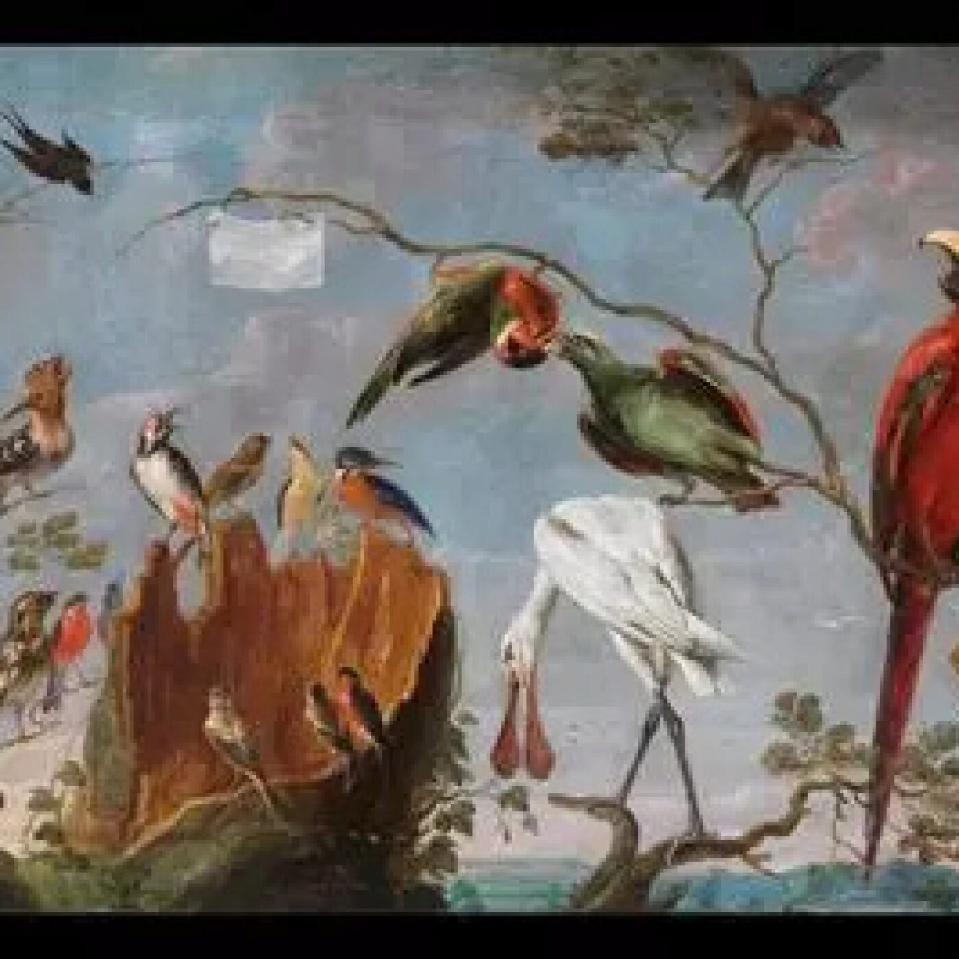 Le théâtre des oiseaux episode artwork