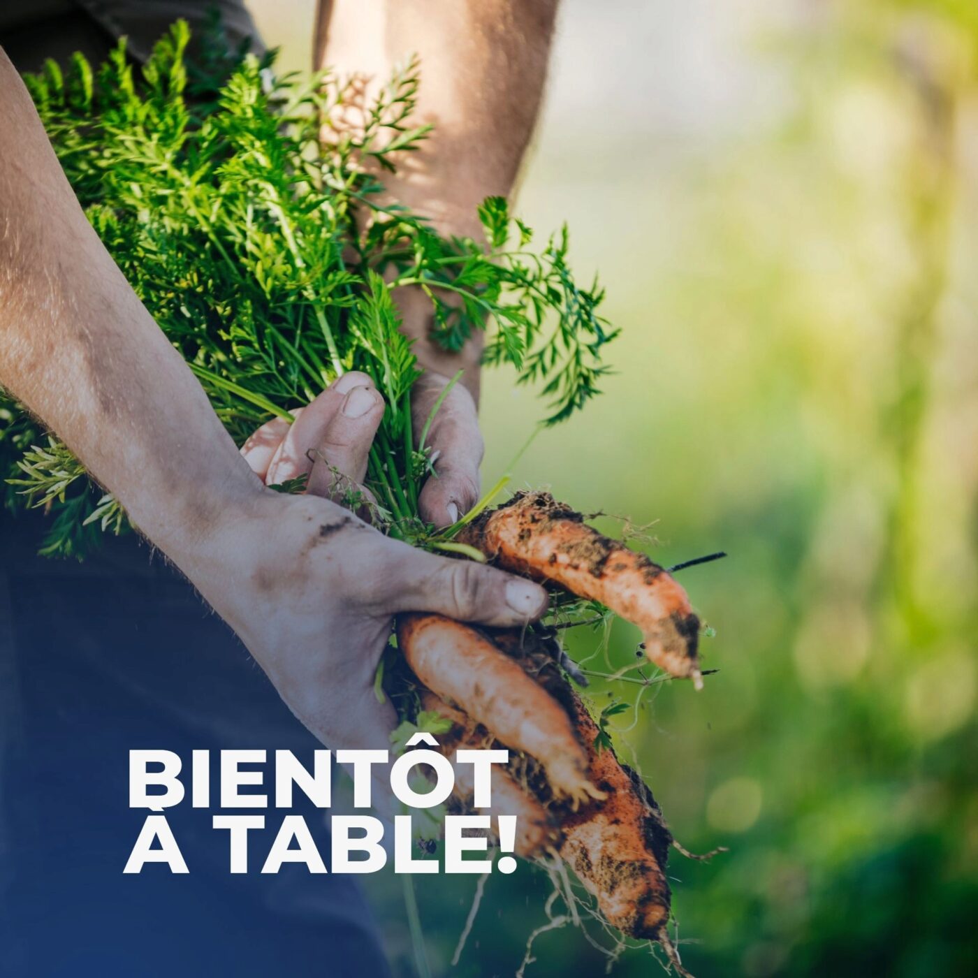 La résistance par la fourchette!