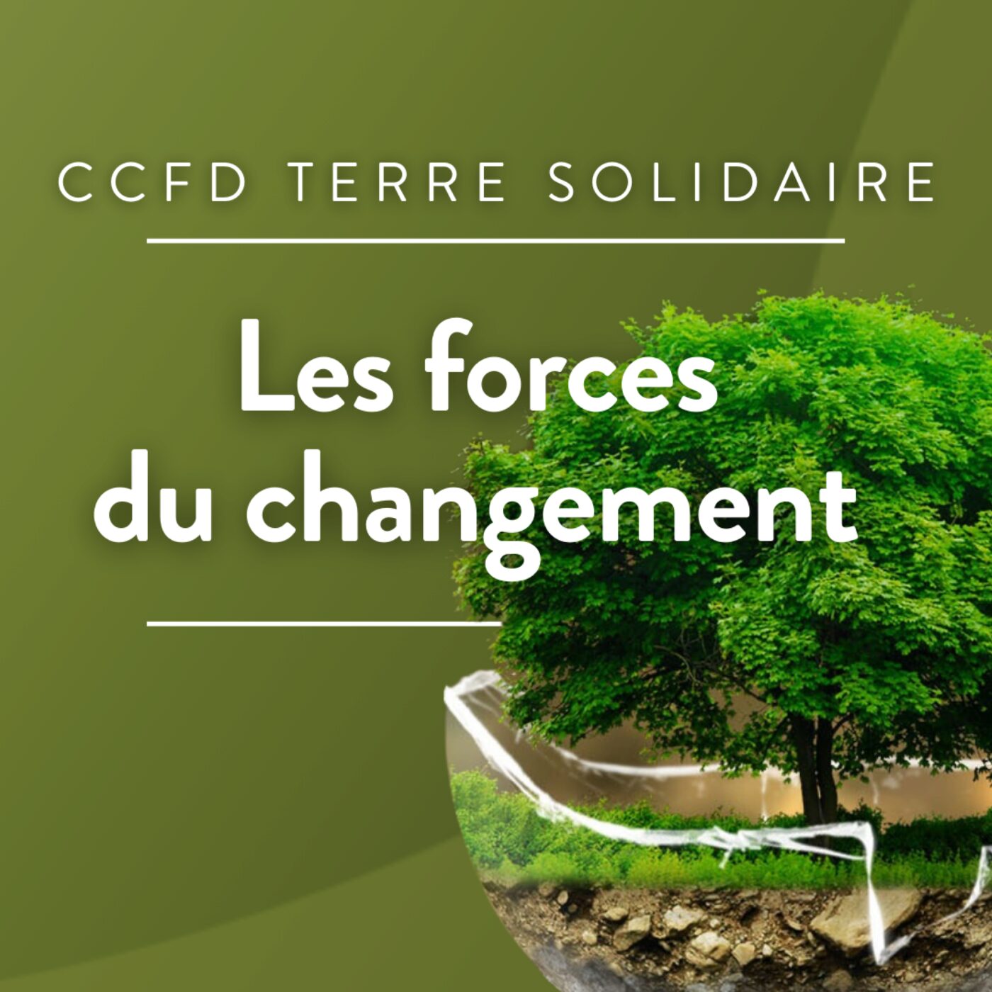 Les Forces du Changement