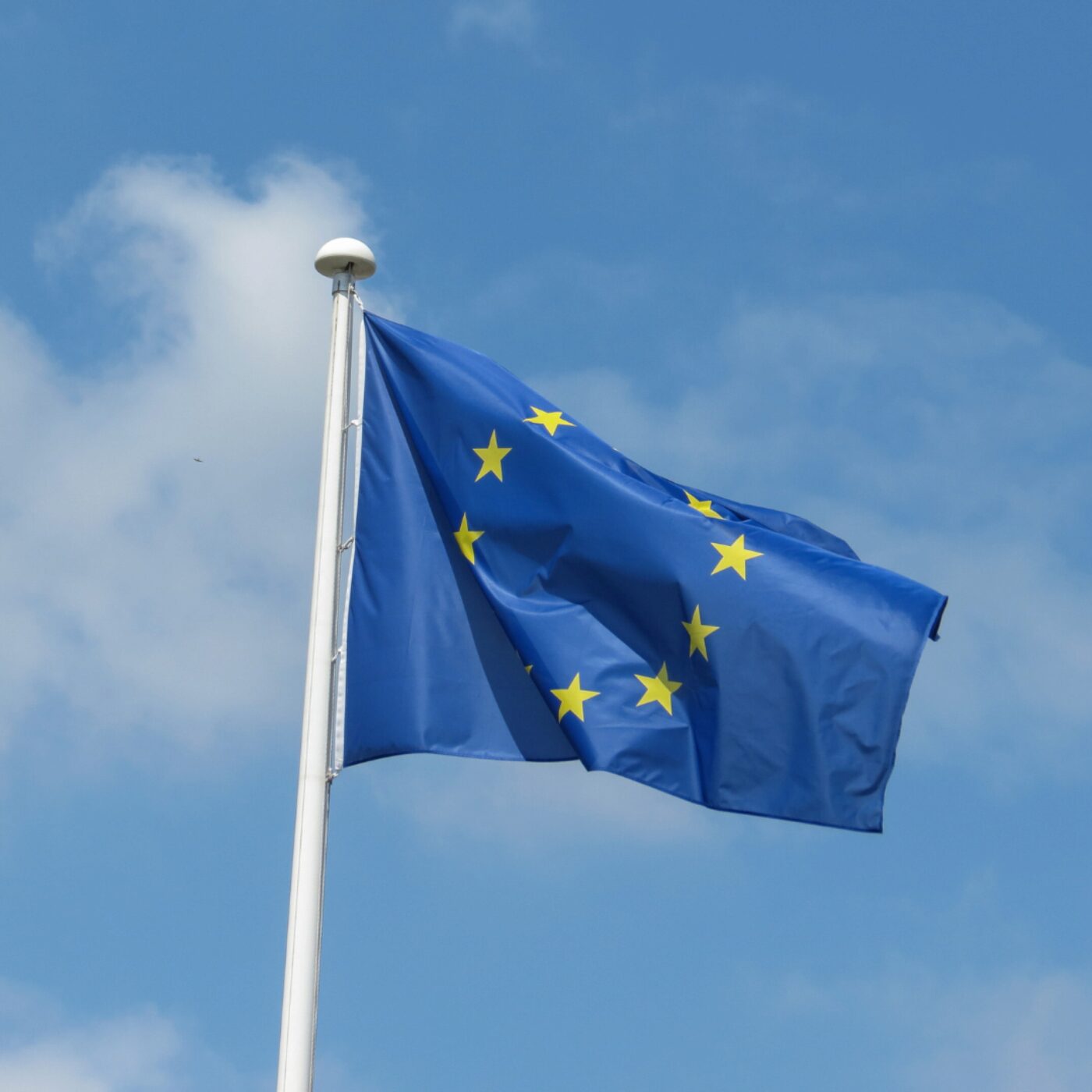 Polychrome, pour dépasser les frontières