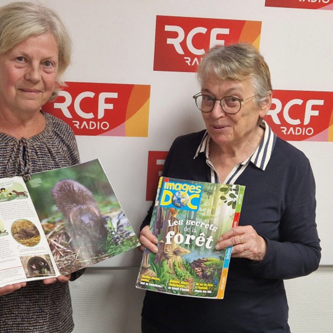 Les amis de l\'esperluette