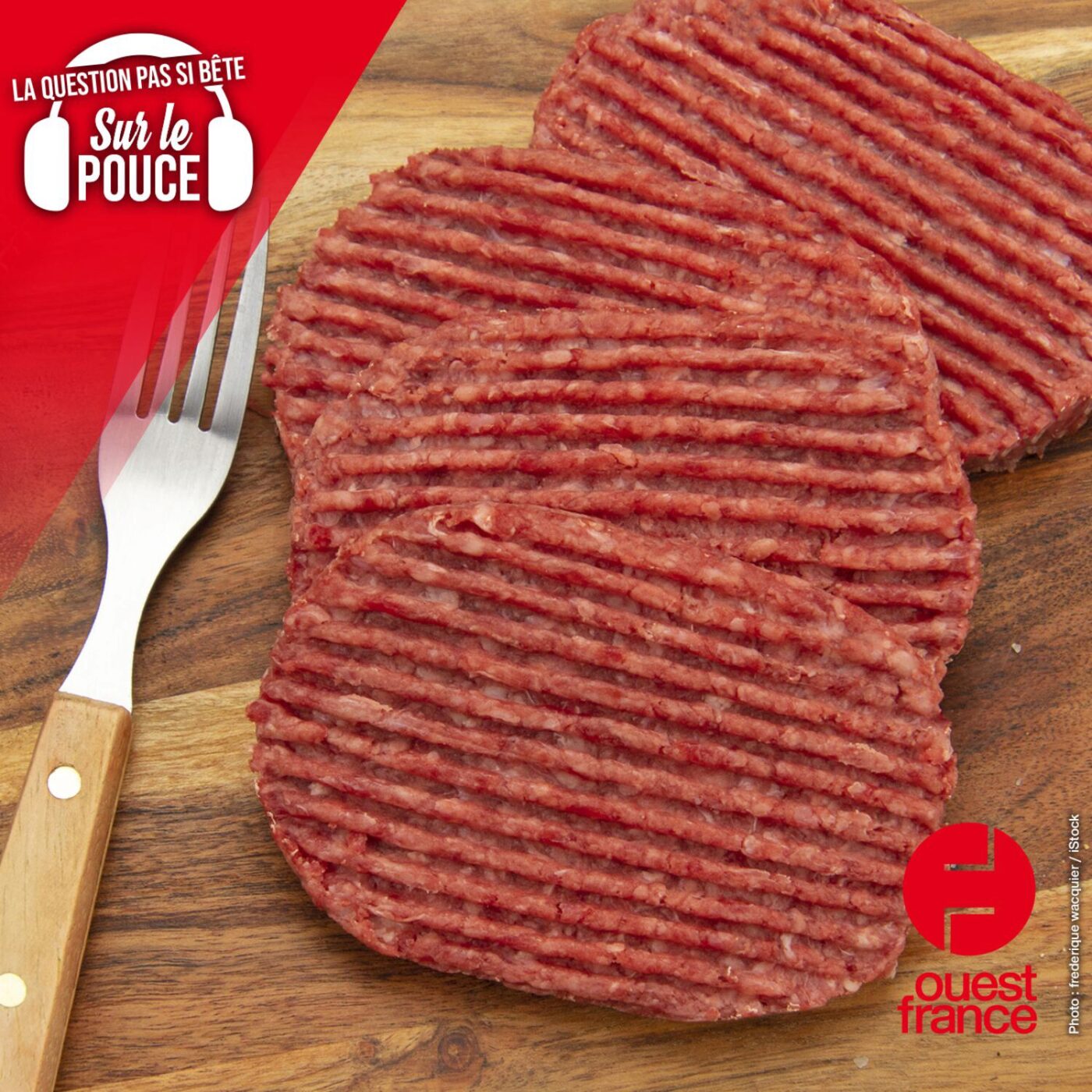 Sur le pouce, les questions pas si bêtes