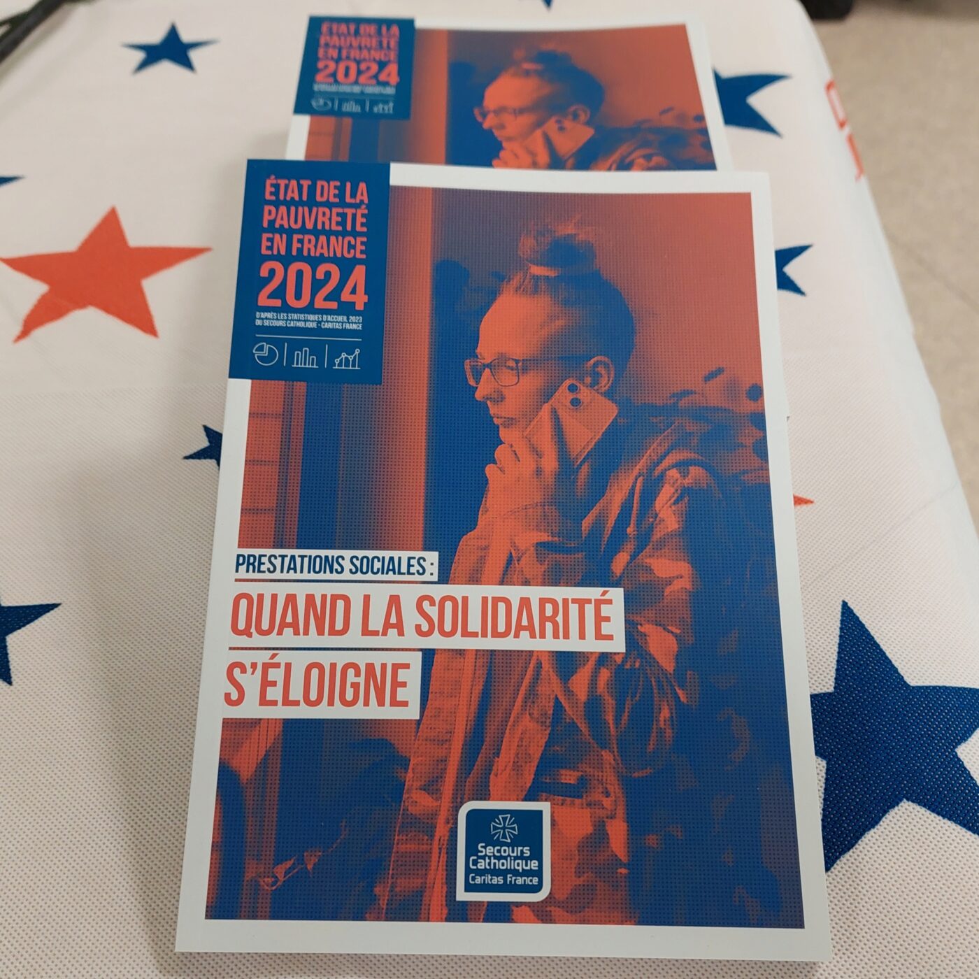 Etat de la pauvreté : la solidarité s'éloigne pour le Secours catholique episode artwork
