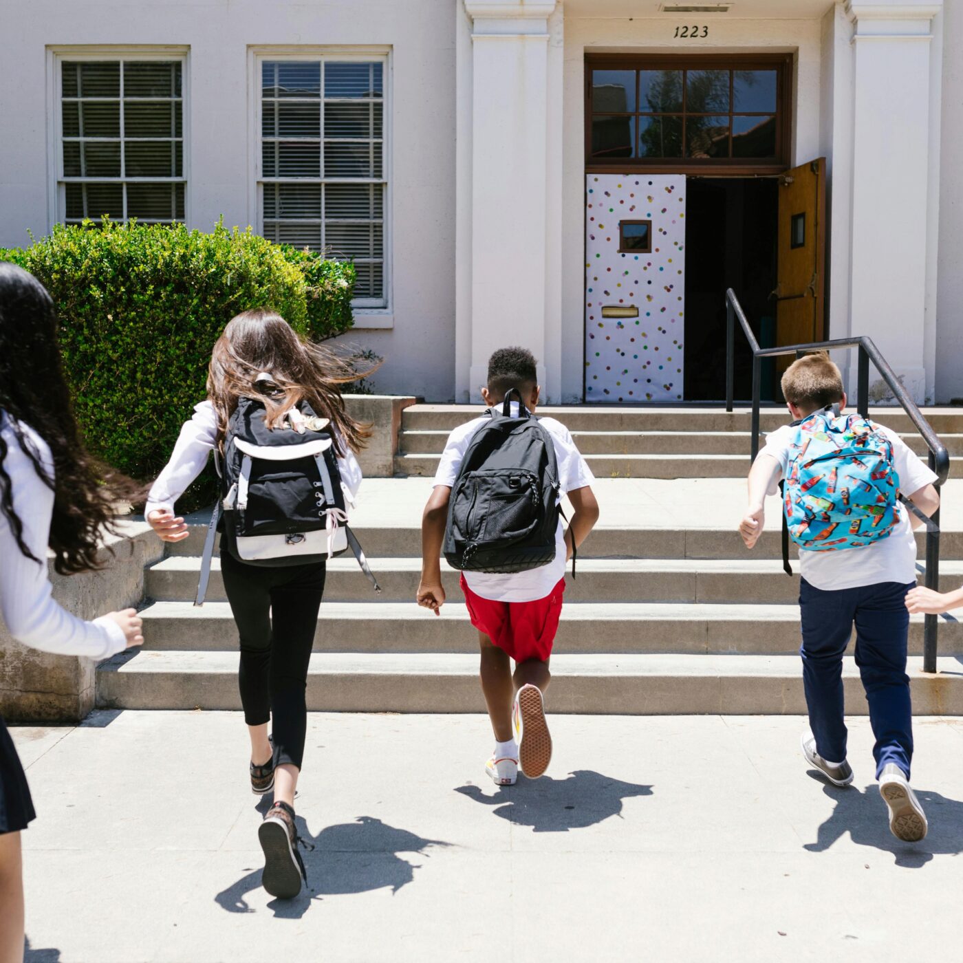 Polychrome, pour mieux vivre