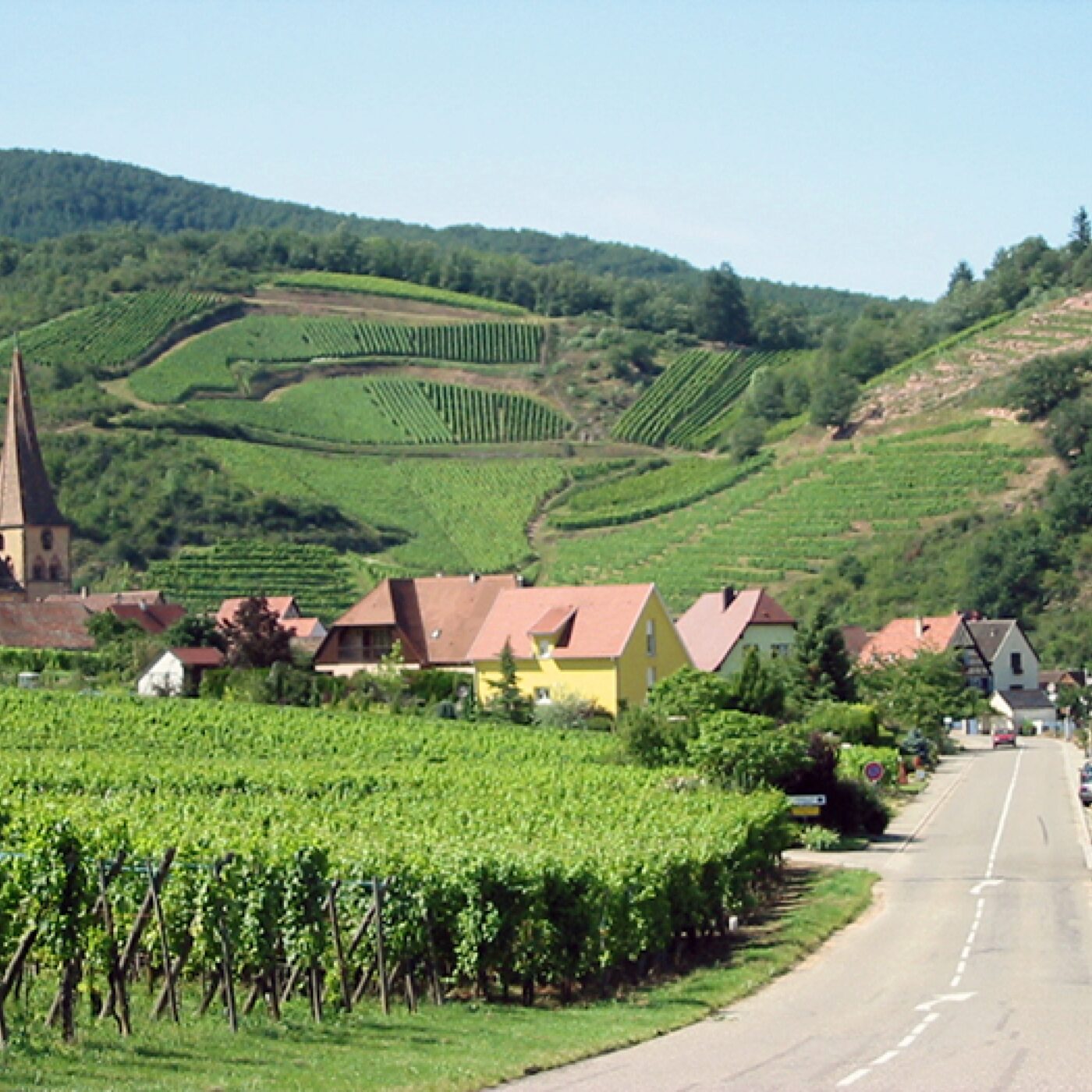 Balade sensorielle sur la route des vins d'Alsace episode artwork