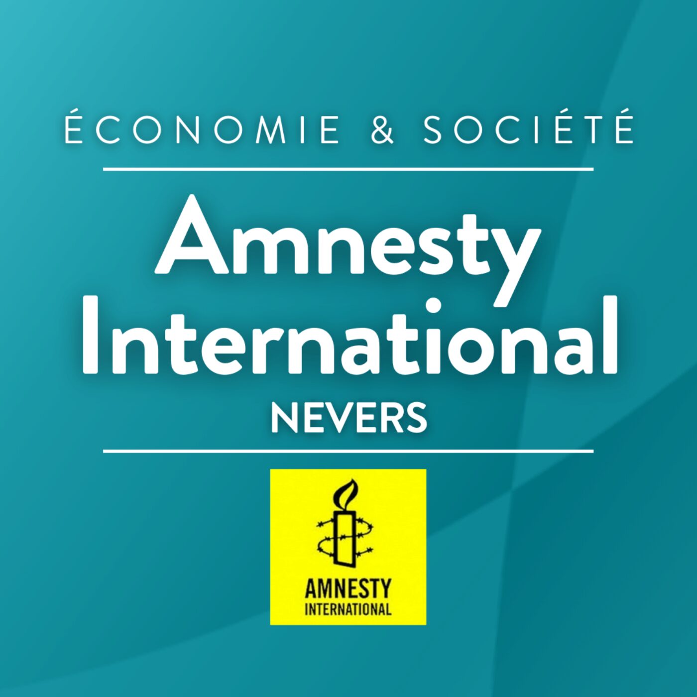 Amnesty episode artwork