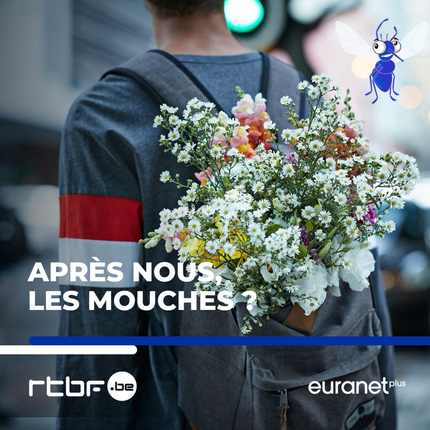 Dites-le avec des fleurs! Senteur et beauté, carbone et pesticides? (19/20)