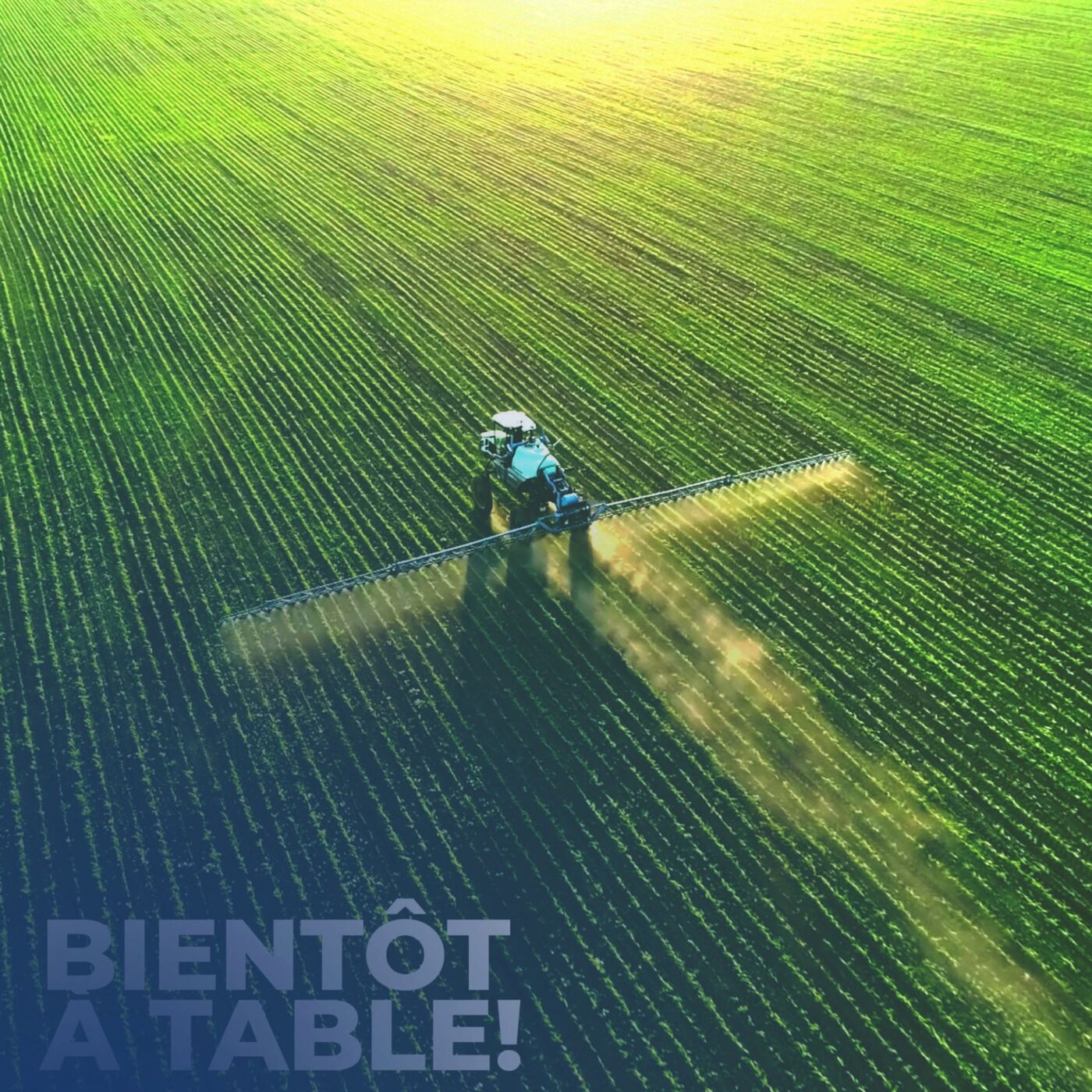 Le paradoxe de l'abondance