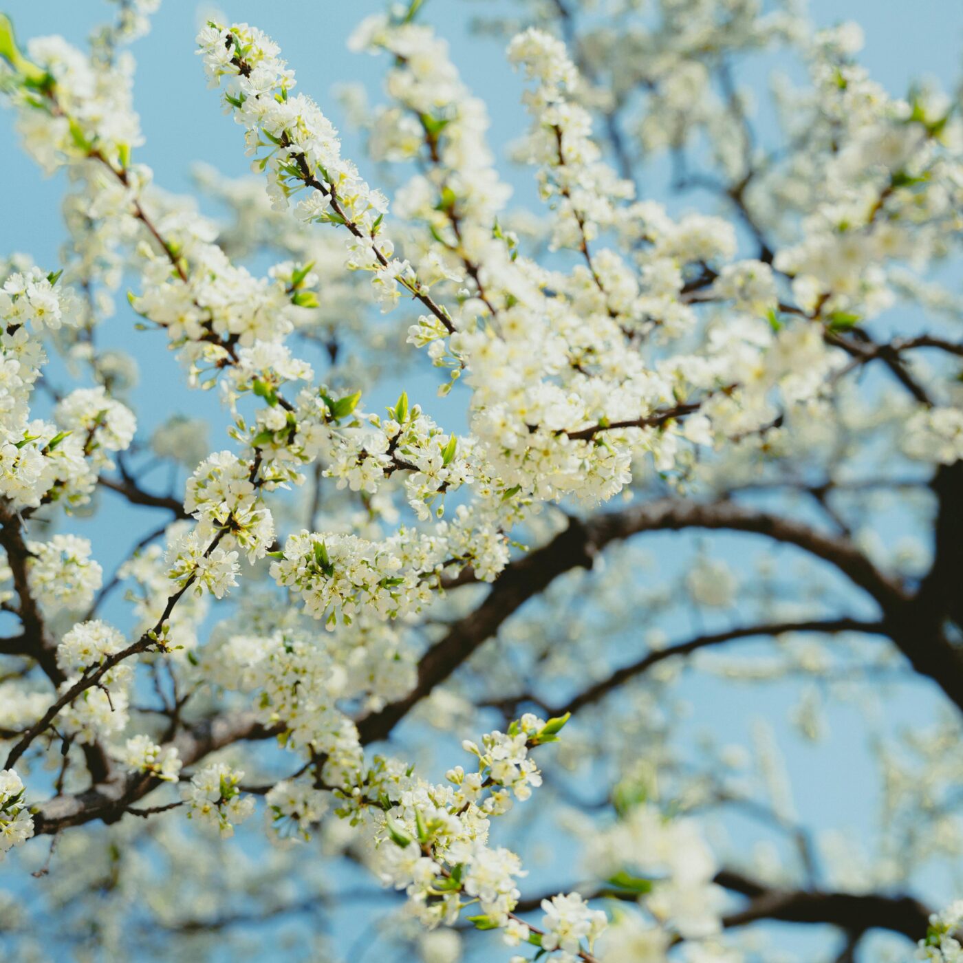 Le Christ vit en nous 3/5 "Vous étiez morts". Et maintenant ?