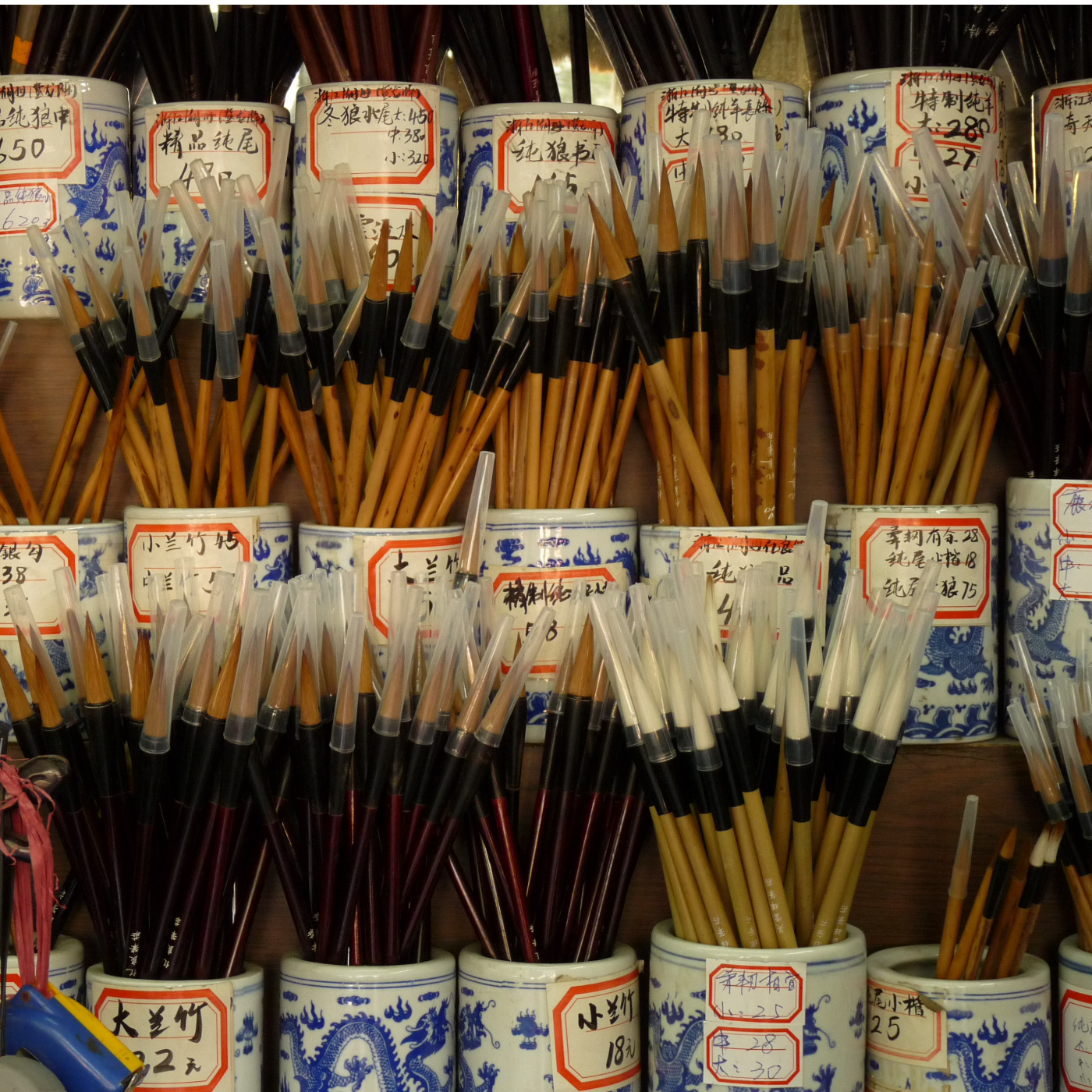 Instantanés du Monde