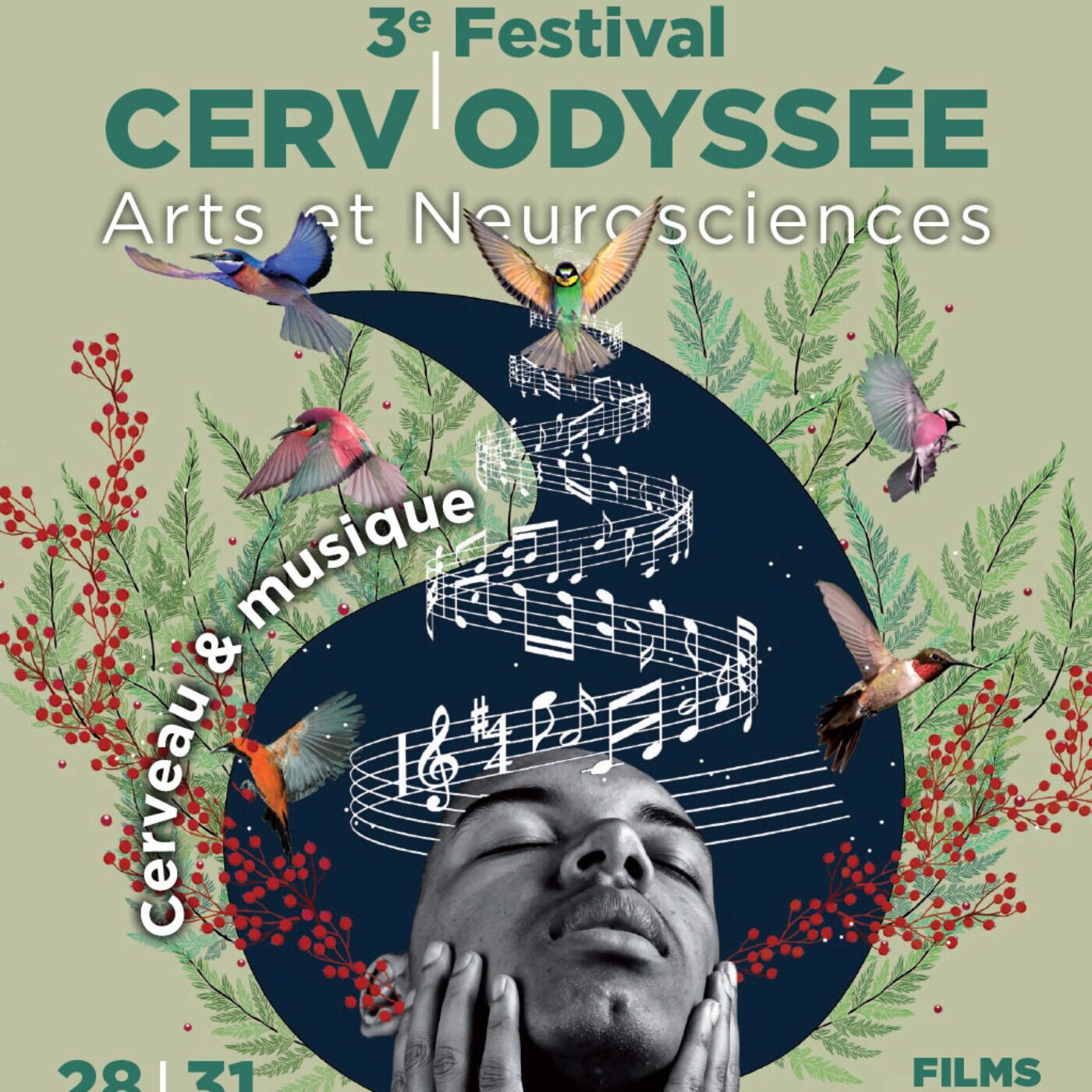 Le Festival Cerv'Odyssée de Marennes revient pour sa 3ème édition episode artwork