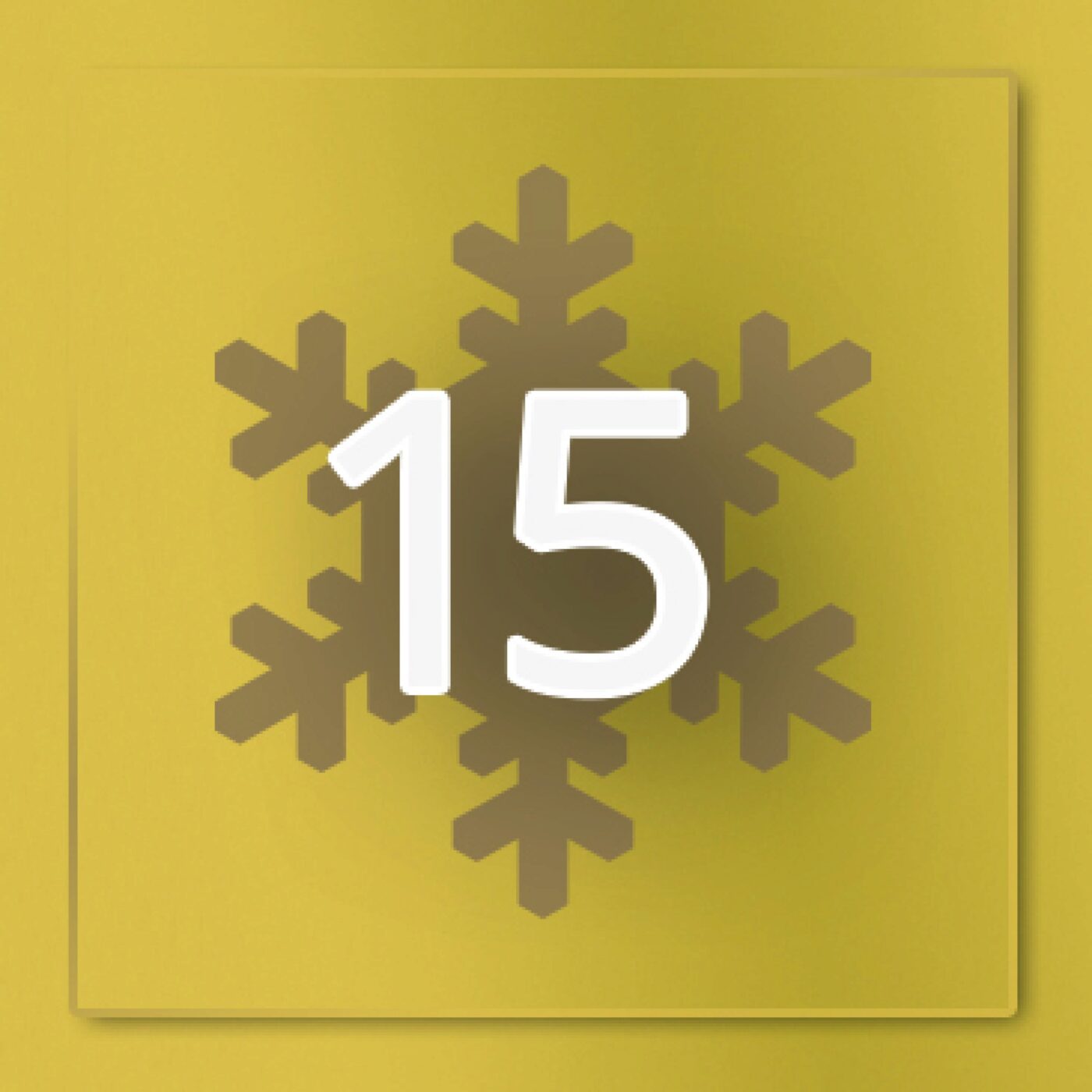 N°15 : Un Noël en petit comité