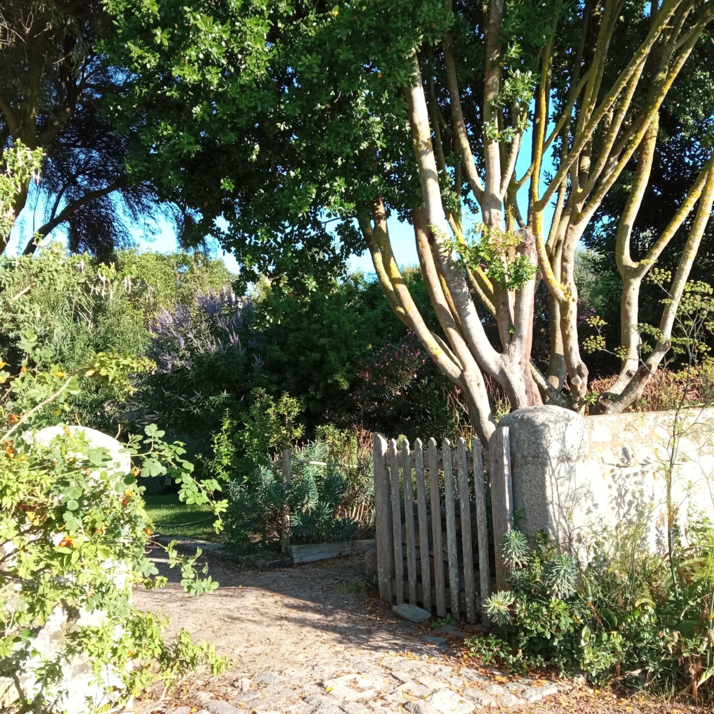 Sur l'île Tatihou, le jardin du Lazaret (2/5) episode artwork