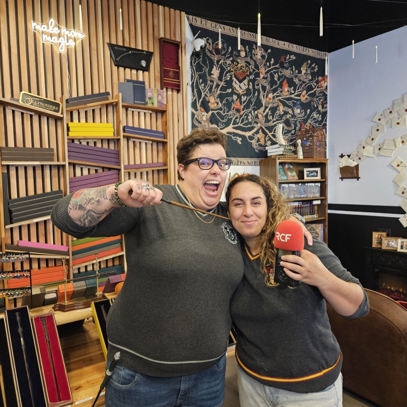 Une boutique Harry Potter ouvre ses portes à Ecole-Valentin episode artwork