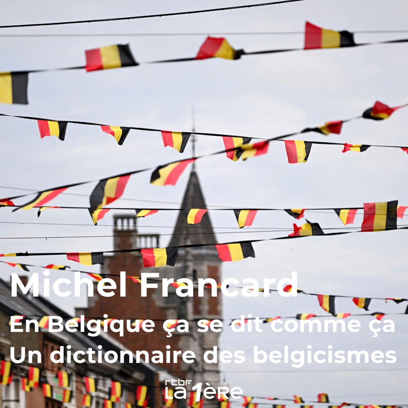 "En Belgique ça se dit comme ça" de Michel Francard : 150 mots et expressions indispensables pour découvrir le français tel qu'on le parle VRAIMENT en Belgique