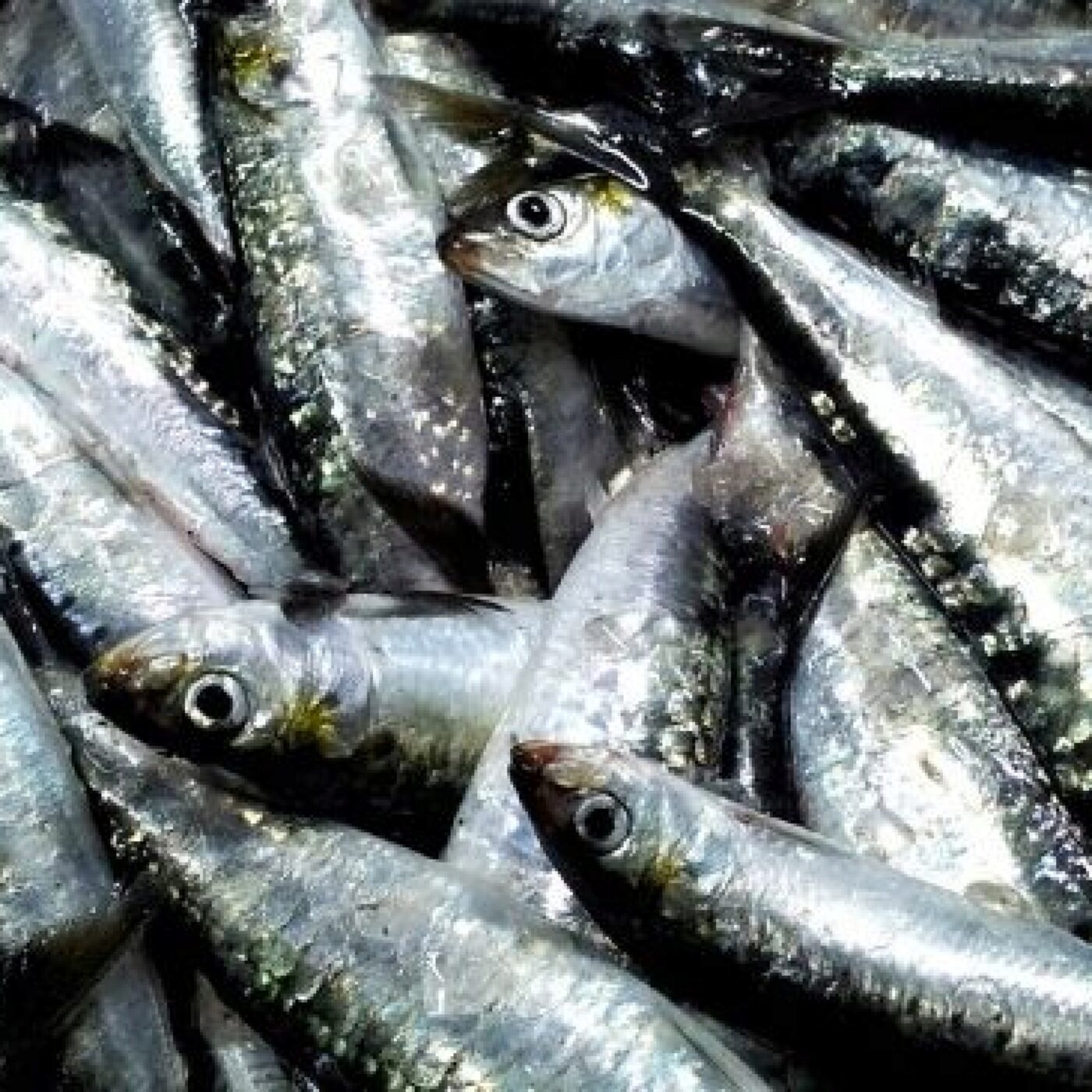 Peut on croire aux miracles?