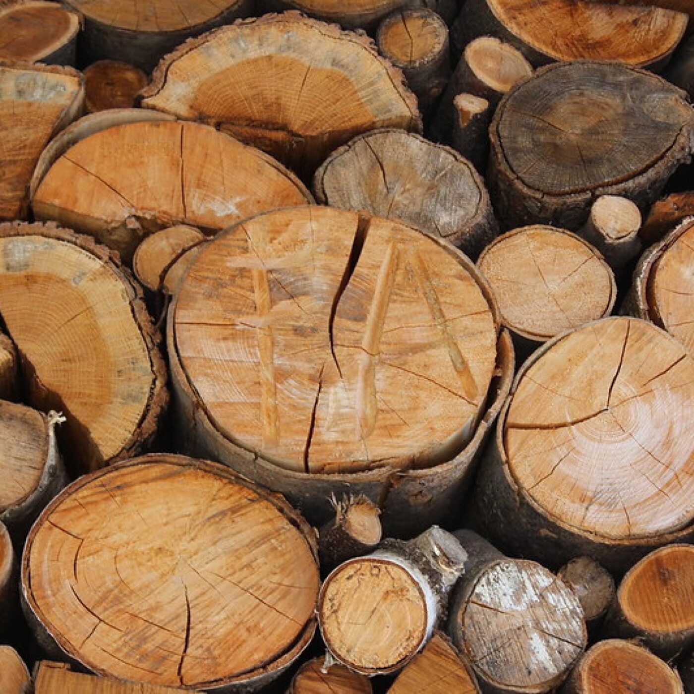 Energie : "Les gens veulent faire des économies avec le bois de chauffage" episode artwork